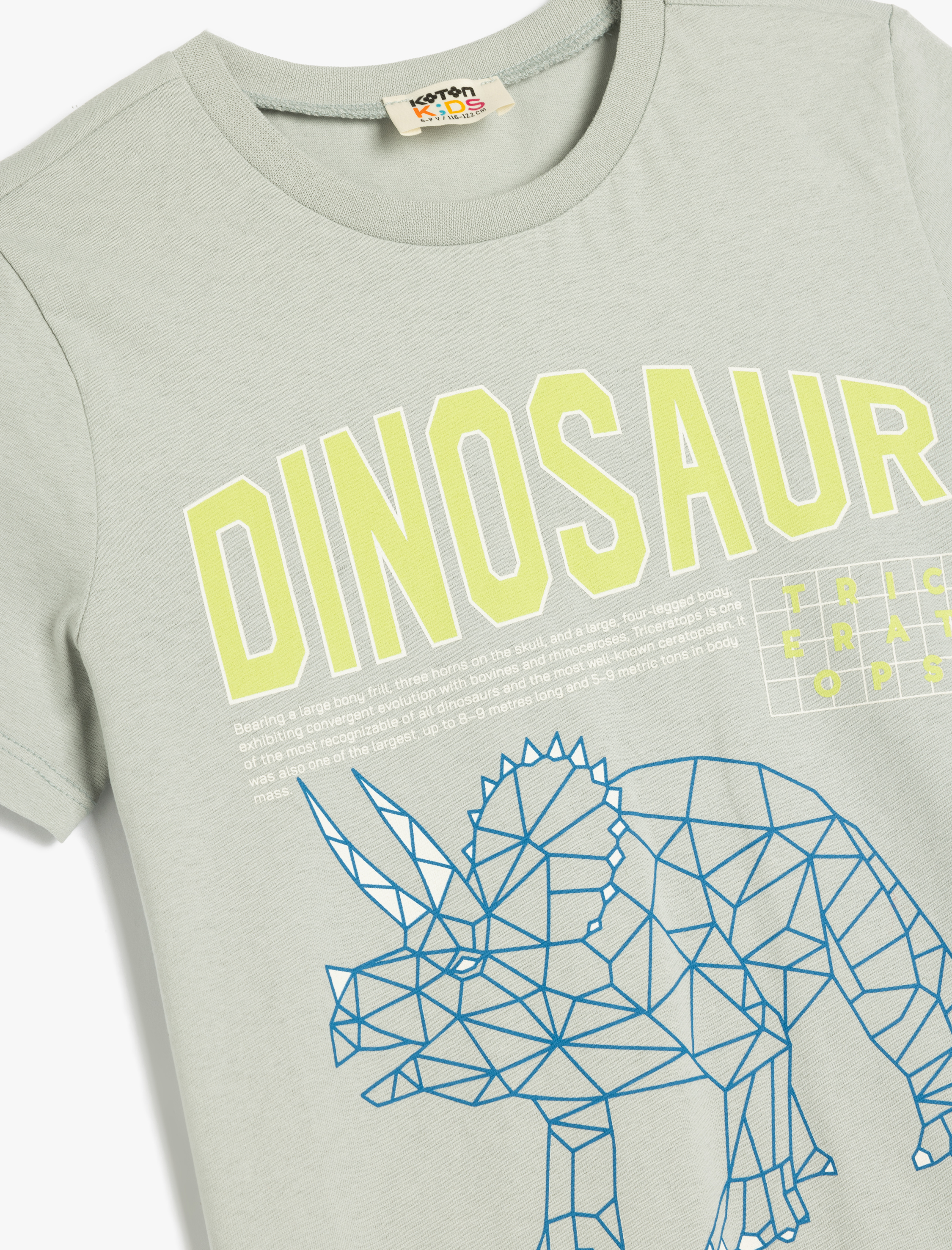 Erkek Çocuk Dinozor Baskılı Bisiklet Yaka Kısa Kollu Pamuklu Tişört