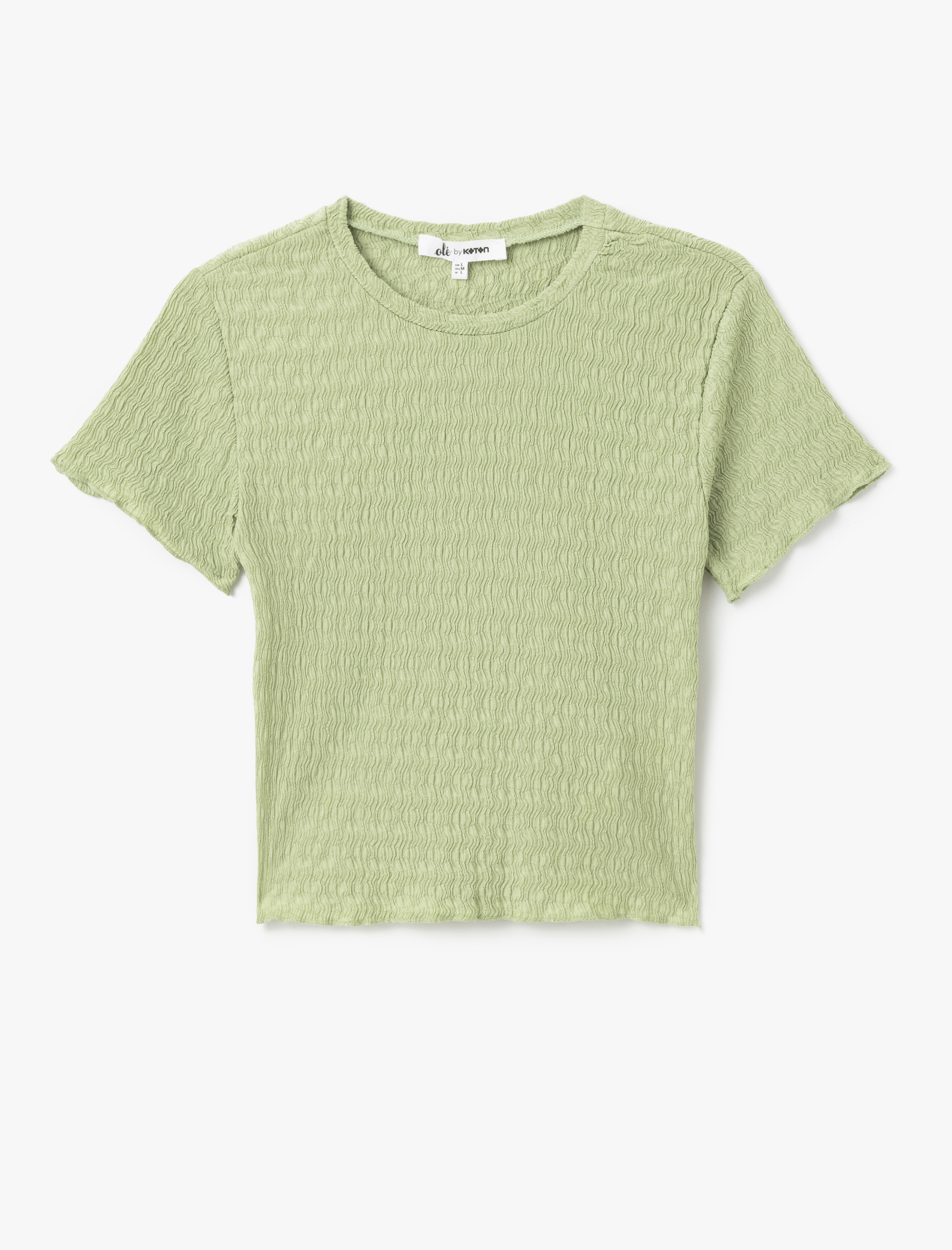   Basic Kısa Kollu Bisiklet Yaka Dokulu Crop Tişört Bürümcük