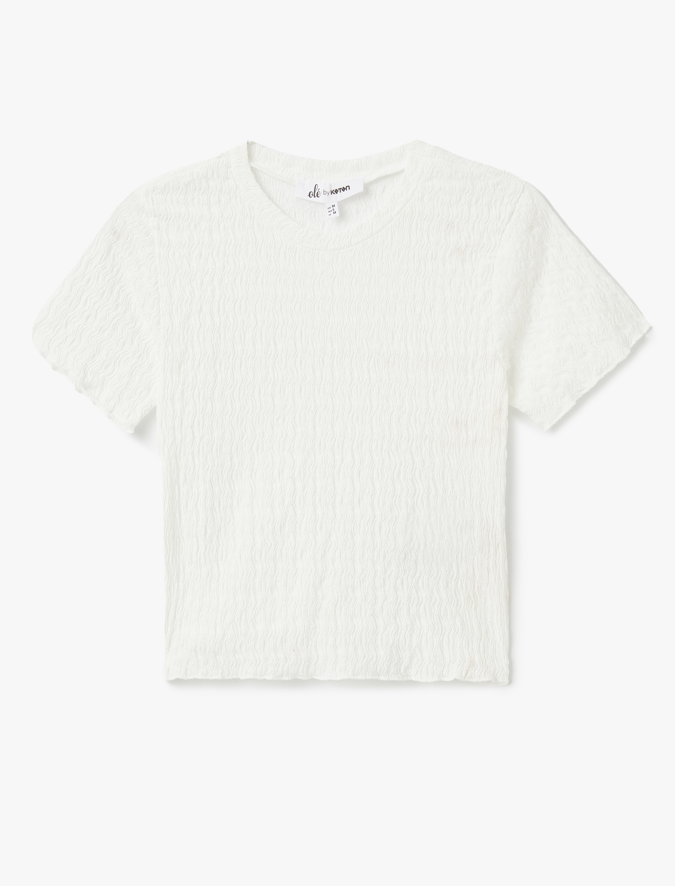   Basic Kısa Kollu Bisiklet Yaka Dokulu Crop Tişört Bürümcük