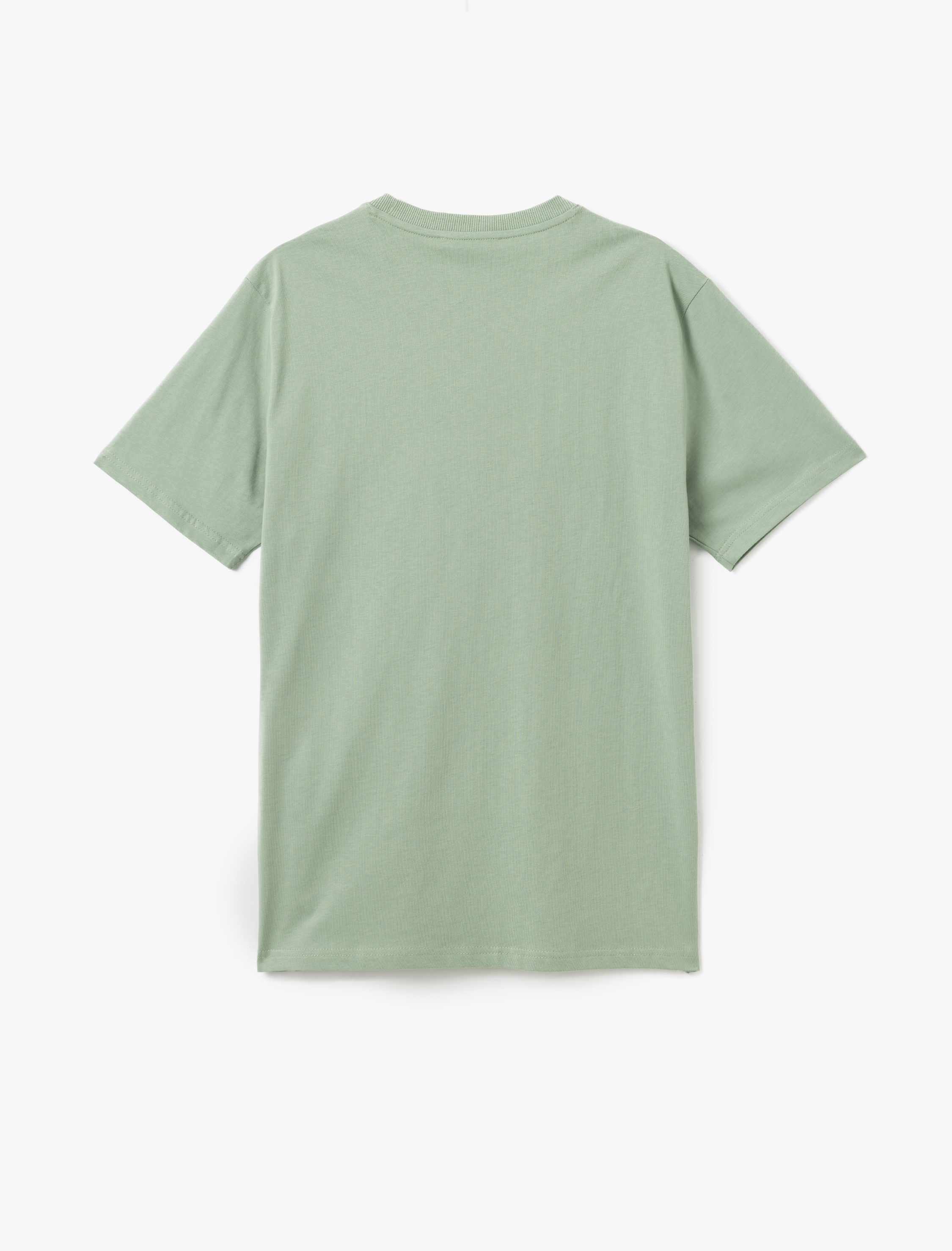   Bisiklet Yaka Pamuklu Regular Fit Kısa Kollu Meyve Baskılı Tişört