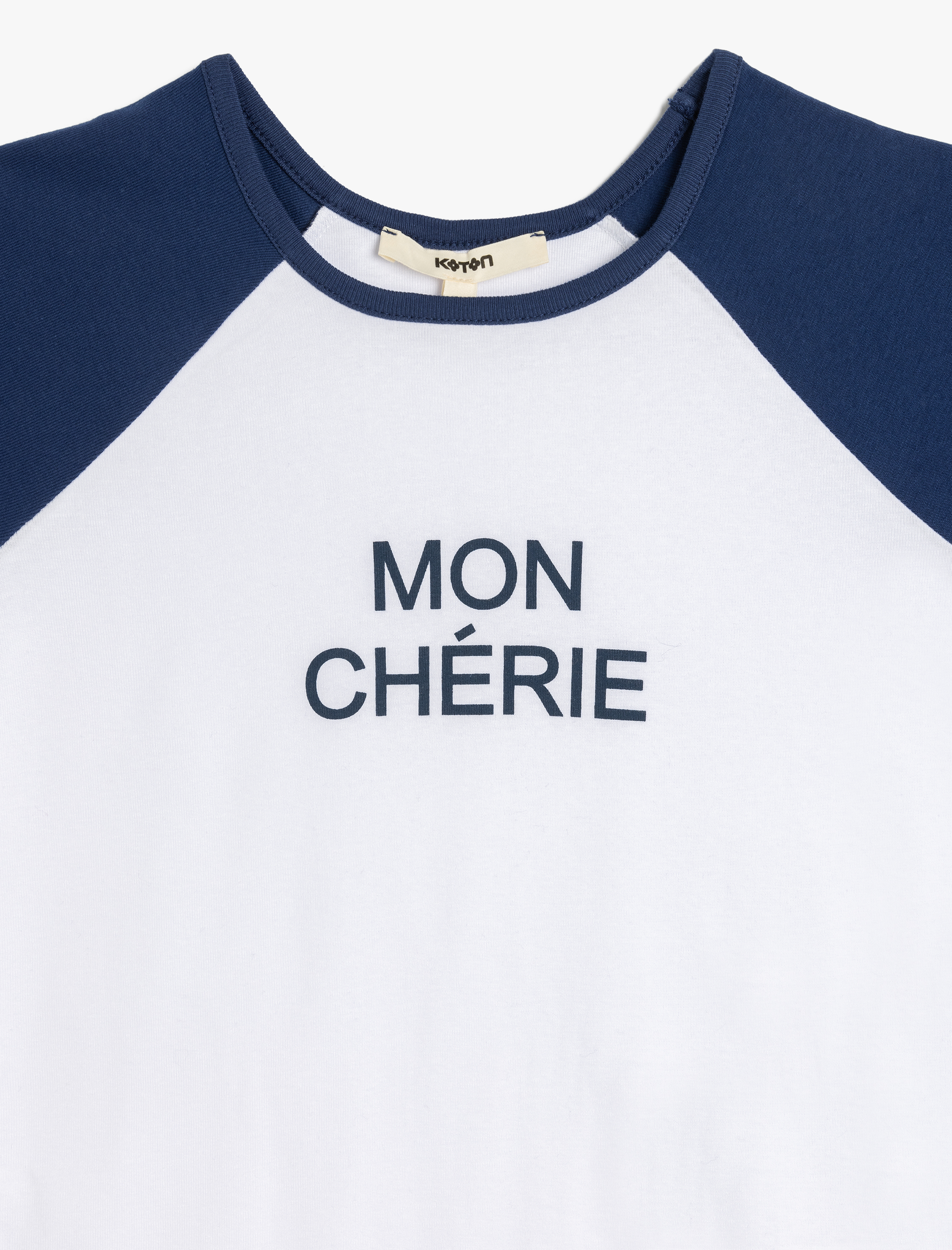   Pamuklu Renk Bloklu Bisiklet Yaka Kısa Kollu Baskılı Kadın Tişört