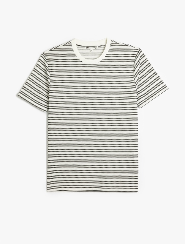 Çizgili Kısa Kollu Bisiklet Yaka Slim Fit Tişört_0