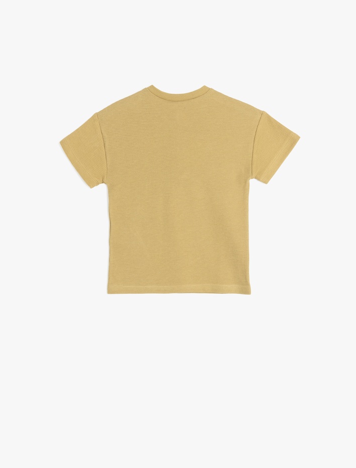 Erkek Bebek Pamuklu Kaktüs Nakış Detaylı Dokulu Bisiklet Yaka Kısa Kollu Tişört