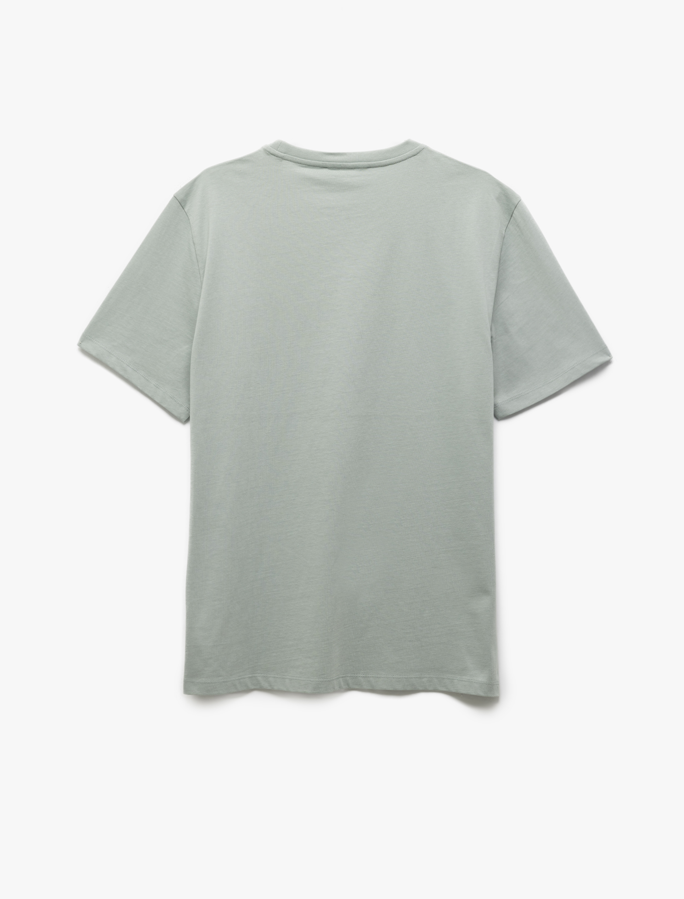   Kısa Kollu Pamuklu Regular Fit Bisiklet Yaka Baskılı Tişört