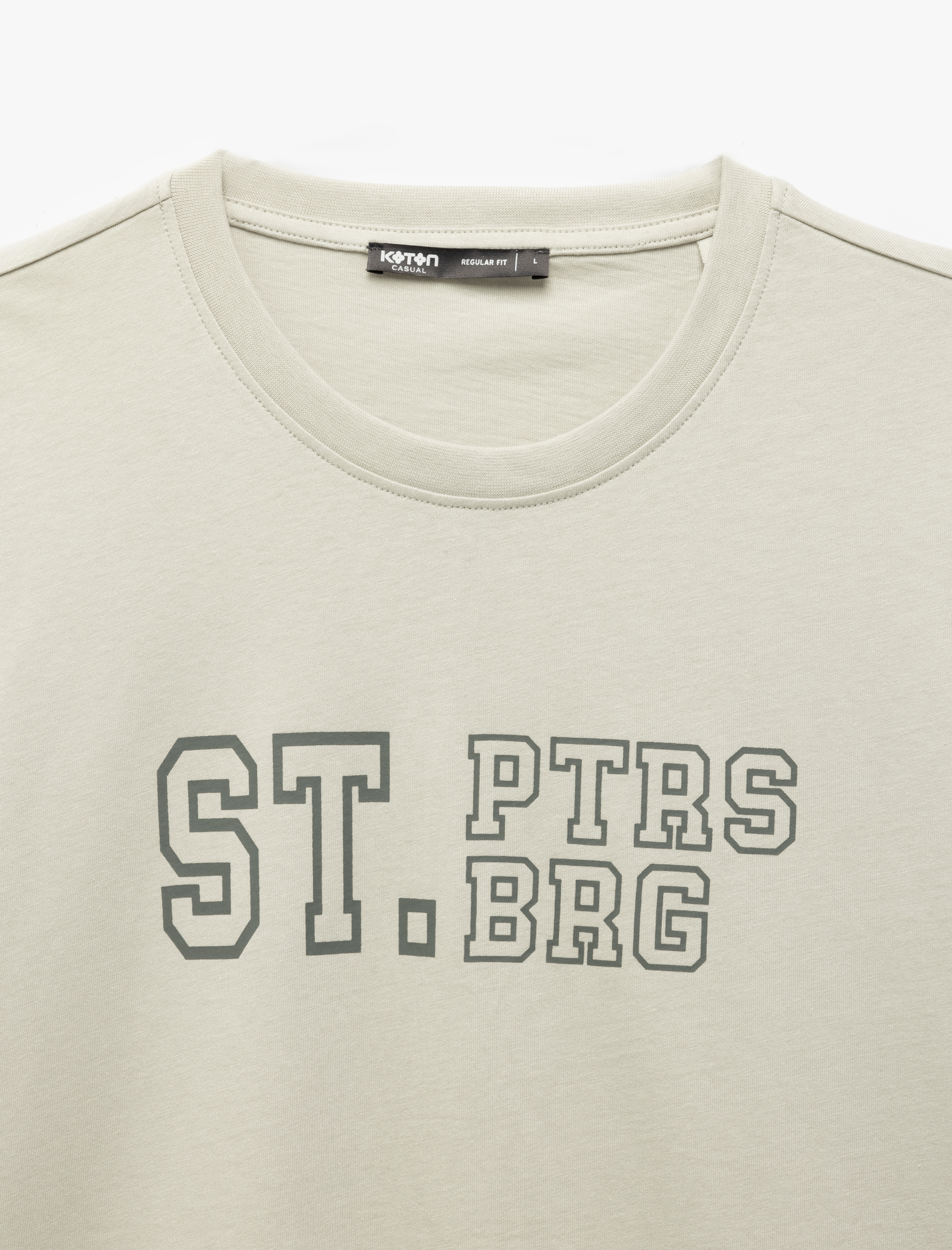   Kısa Kollu Bisiklet Yaka Regular Fit Pamuklu Baskılı Tişört