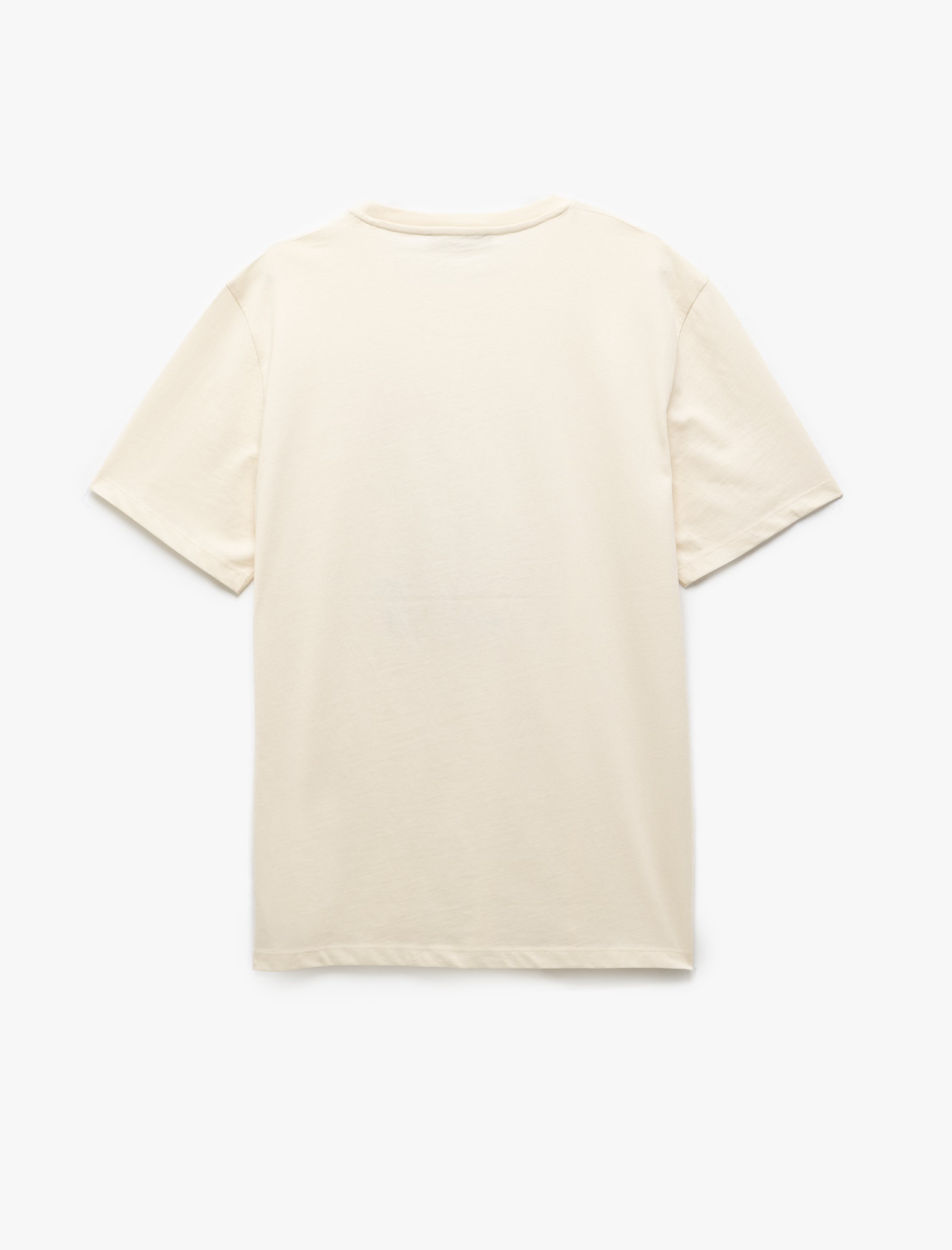   Pamuklu Bisiklet Yaka Regular Fit Kısa Kollu Baskılı Tişört