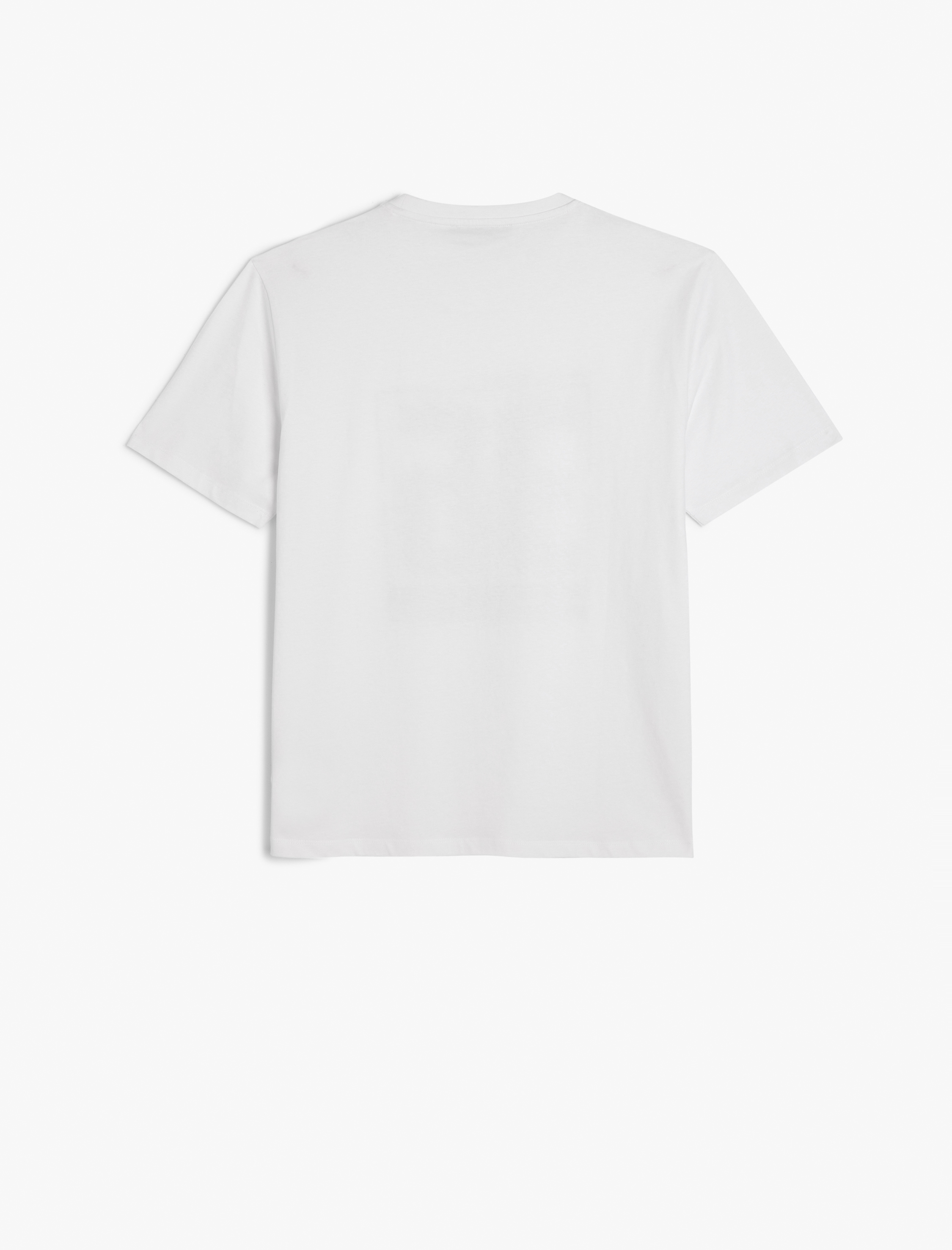   Kısa Kollu Bisiklet Yaka Regular Fit Pamuklu Baskılı Tişört