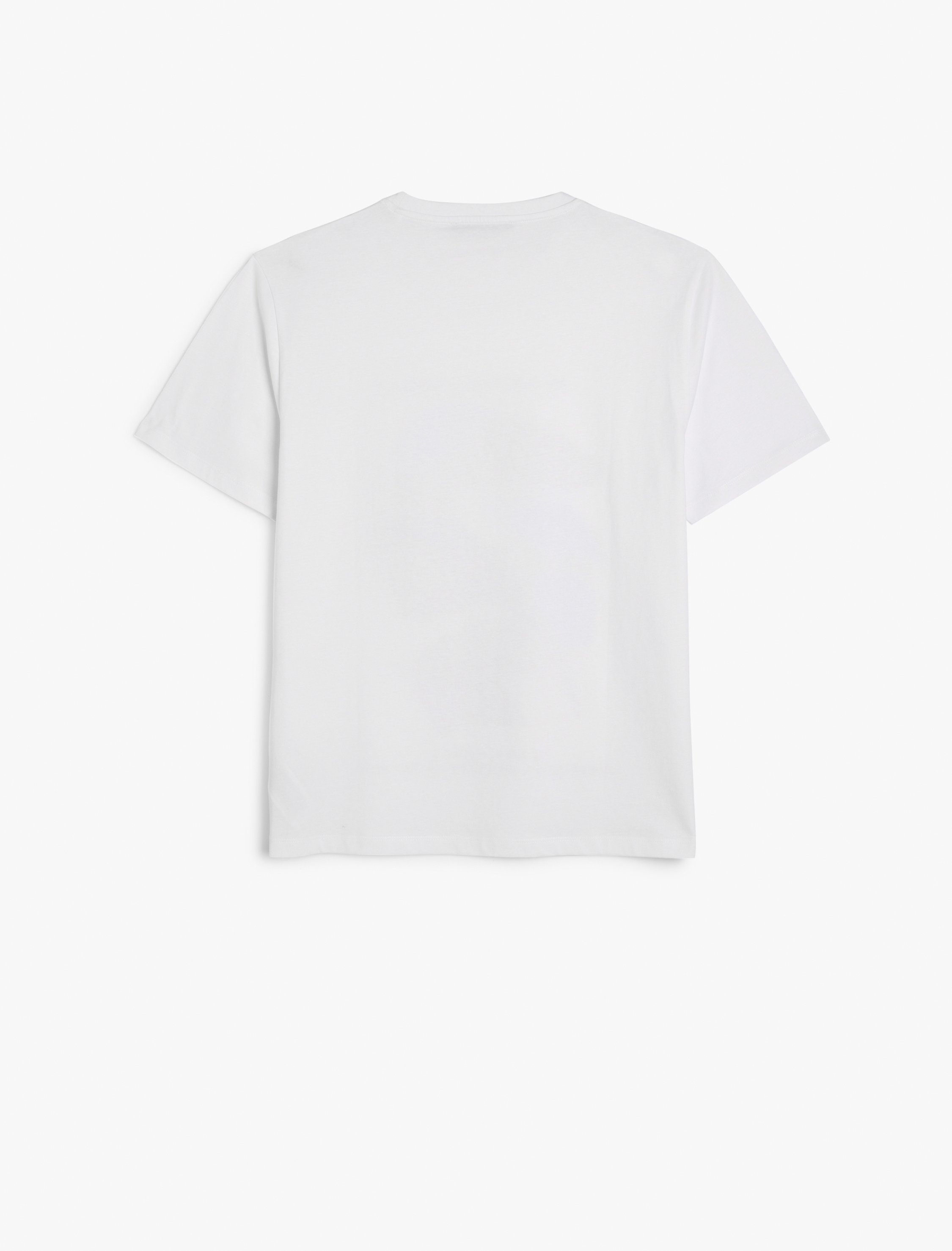   Kısa Kollu Bisiklet Yaka Regular Fit Pamuklu Baskılı Tişört