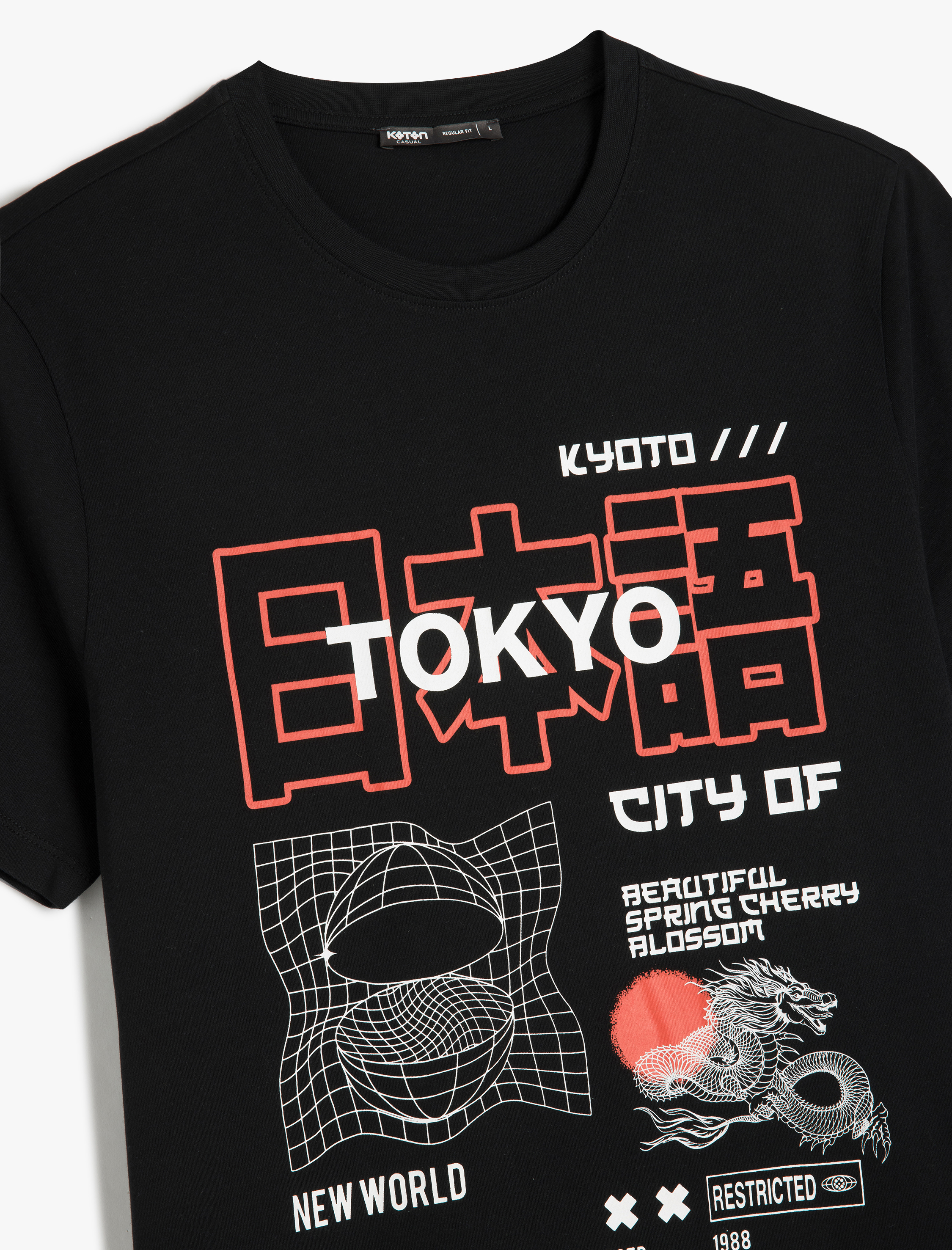   Kısa Kollu Bisiklet Yaka Regular Fit Pamuklu Uzak Doğu Baskılı Tişört