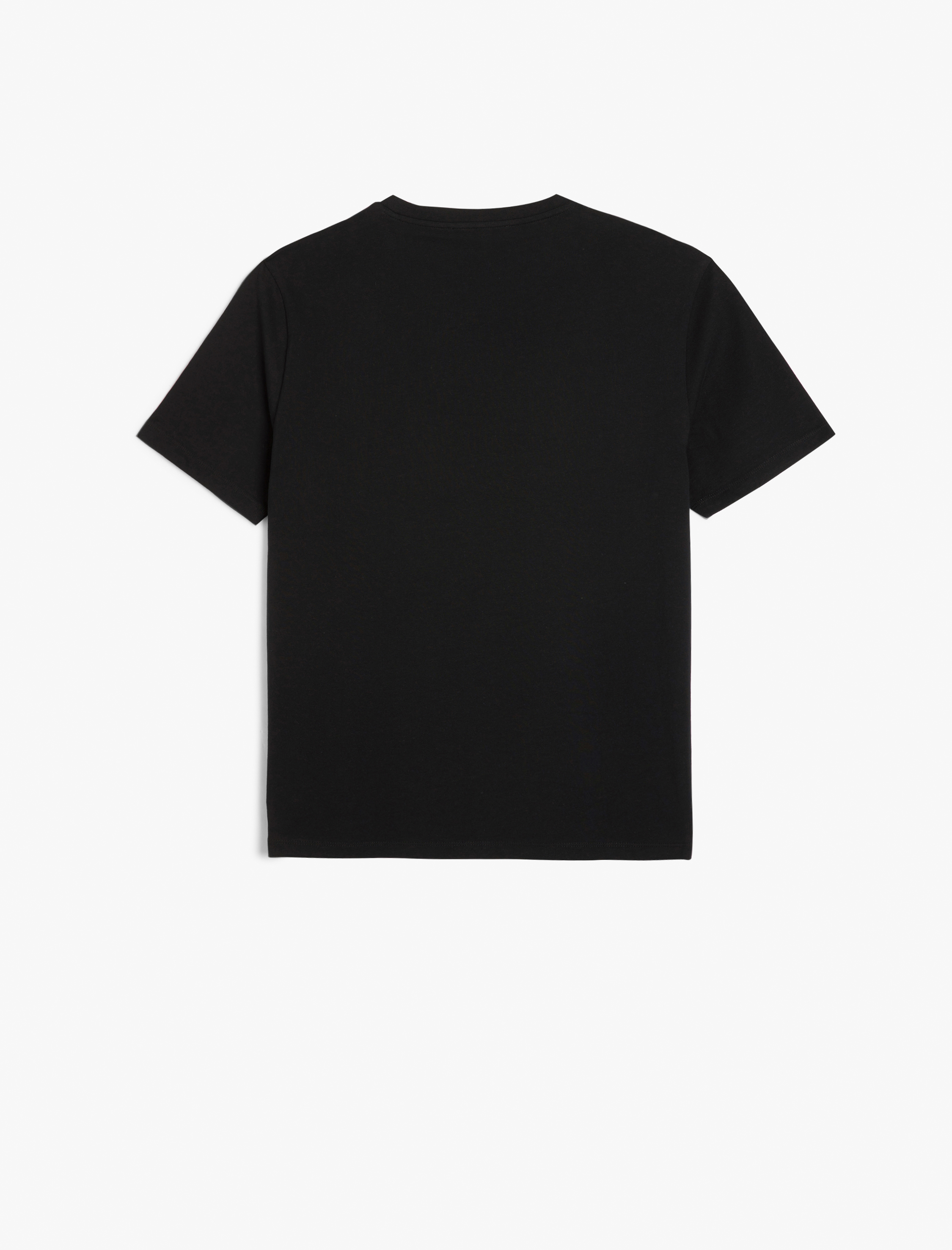   Bisiklet Yaka Regular Fit Sanatsal Baskılı Pamuklu Kısa Kollu Tişört