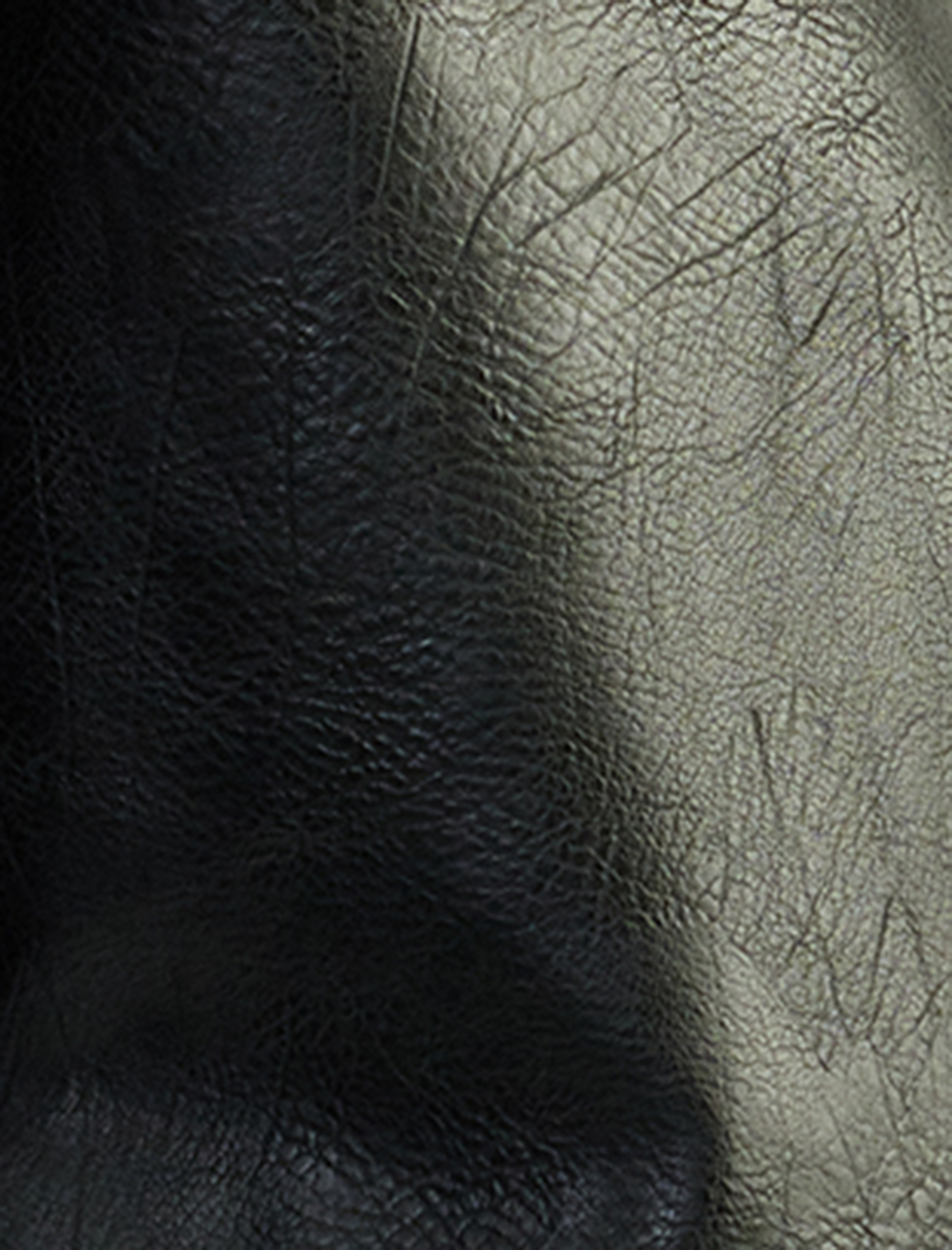   Klasik Yaka Fermuarlı Deri Görünümlü Cep Detaylı Ceket