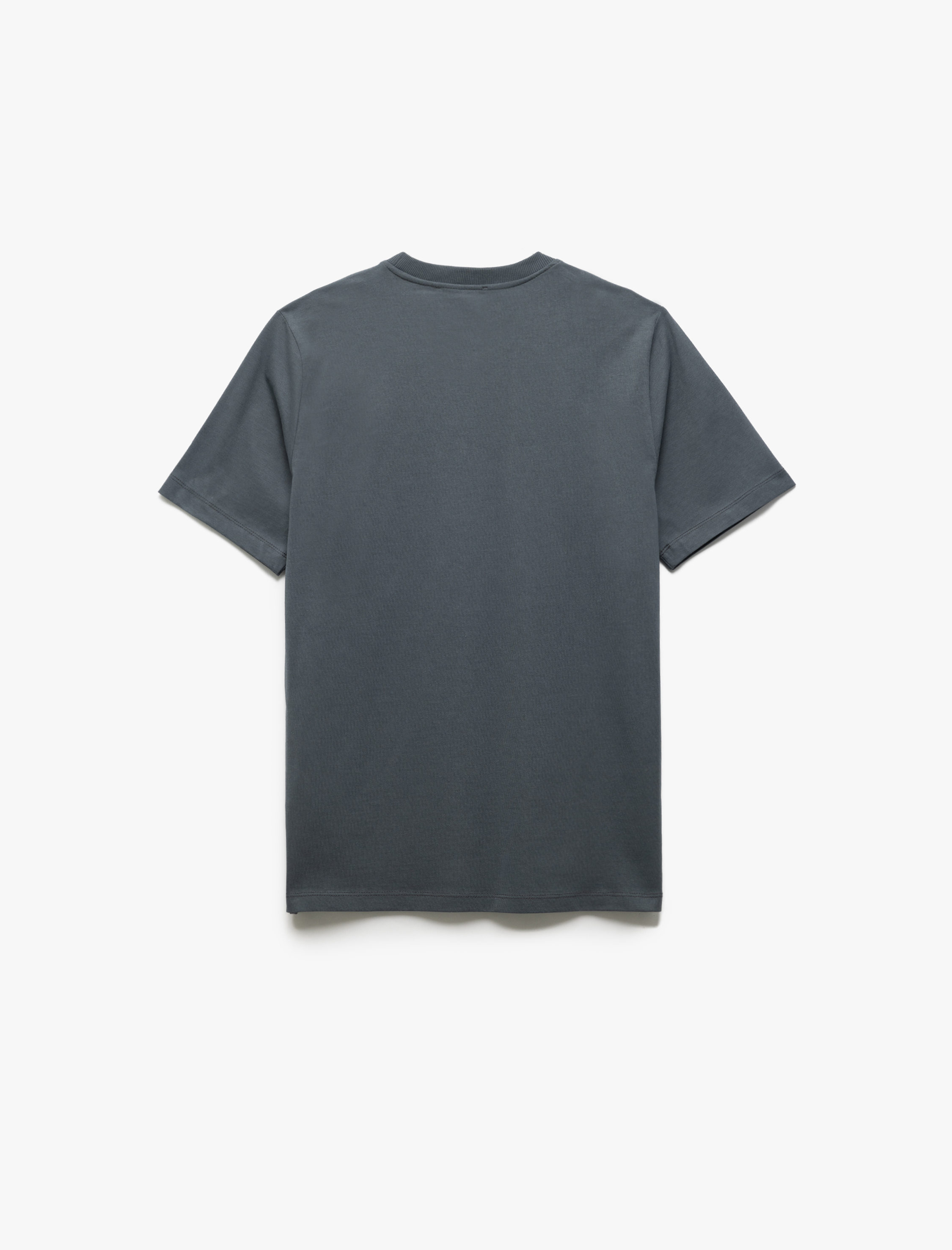   Slogan Baskılı Pamuklu Regular Fit Bisiklet Yaka Kısa Kollu Tişört