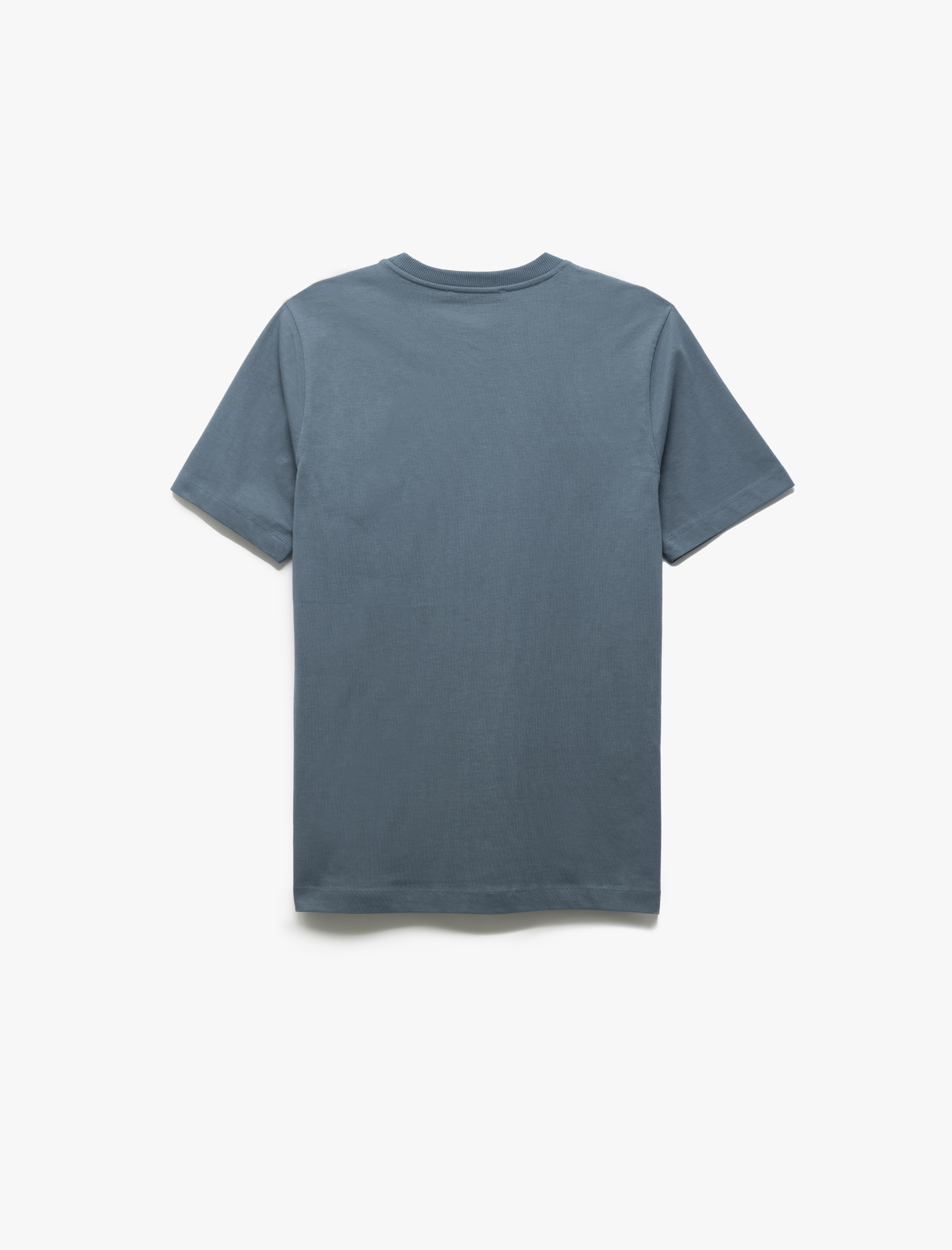   Slogan Baskılı Kısa Kollu Regular Fit Pamuklu Bisiklet Yaka Tişört