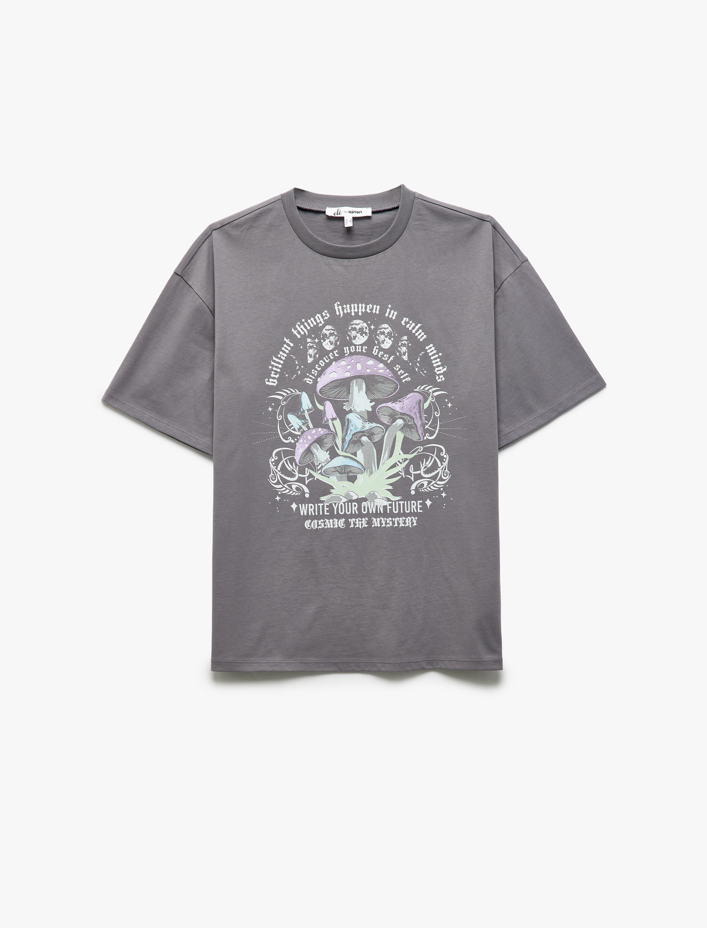   Baskılı Kısa Kollu Bisiklet Yaka Pamuklu Oversize Tişört