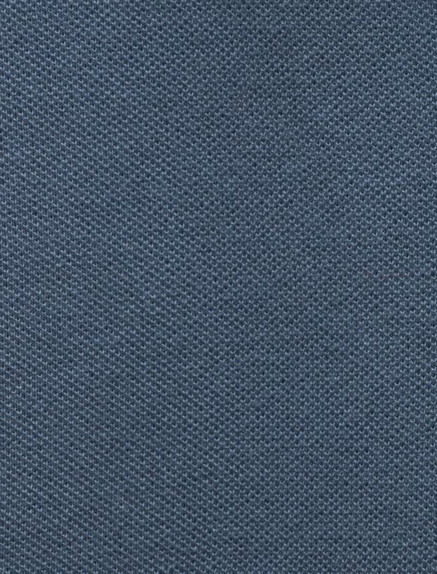Pamuklu Pike Kumaş Kısa Kollu Regular Fit V Yaka Polo Tişört_5