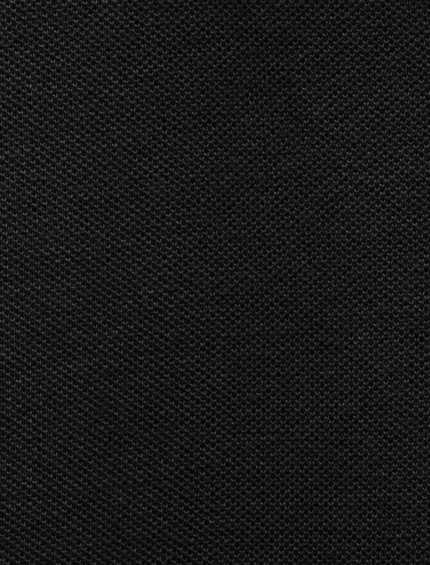Pamuklu Pike Kumaş Kısa Kollu Regular Fit V Yaka Polo Tişört_5