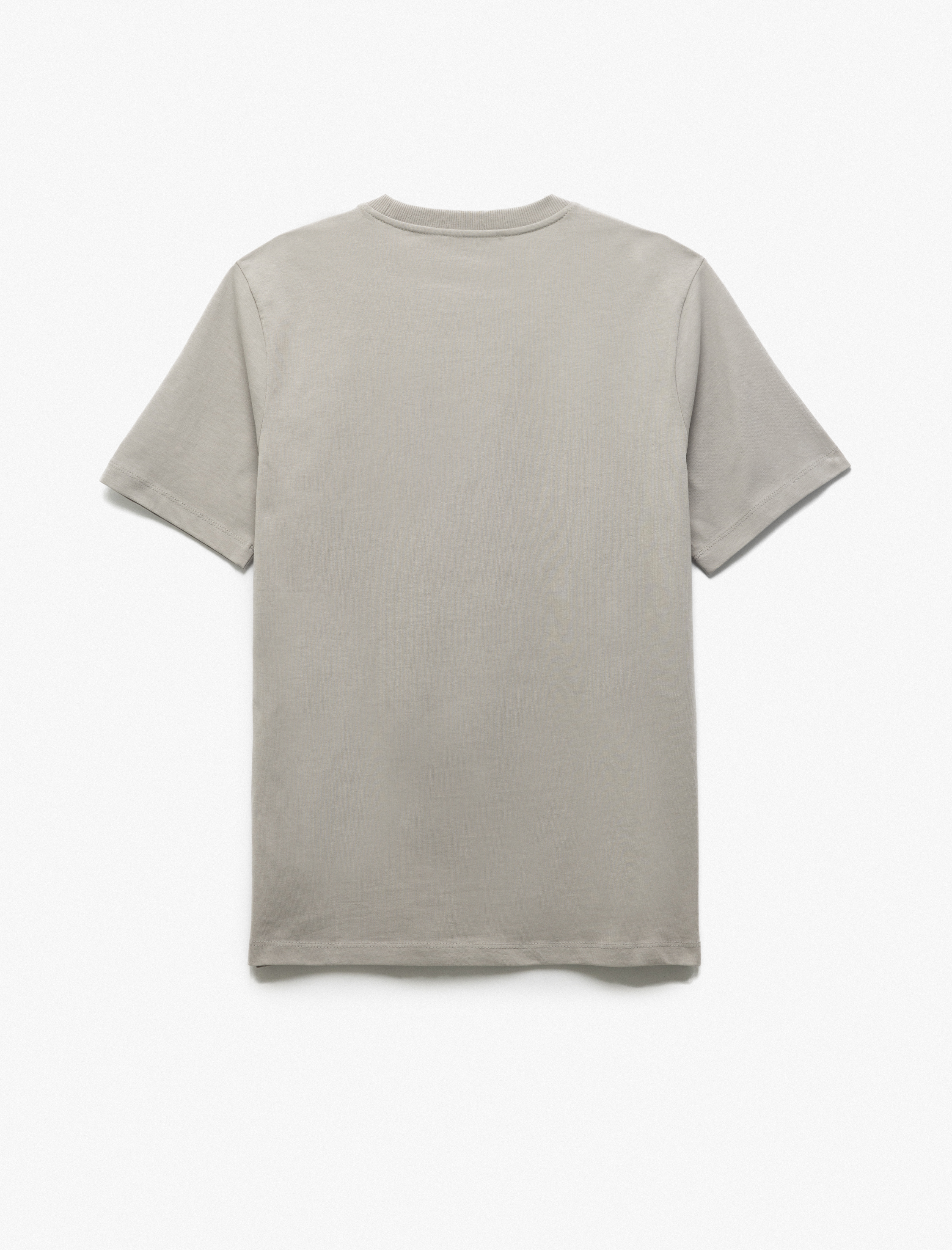   Pamuklu Slogan Baskılı Regular Fit Bisiklet Yaka Kısa Kollu Tişört