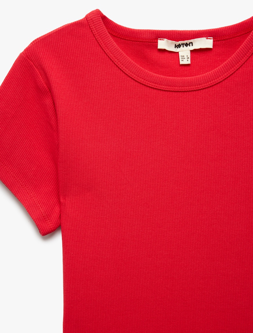  Slim Fit Pamuklu Kısa Kollu Bisiklet Yaka Kadın Basic Tişört