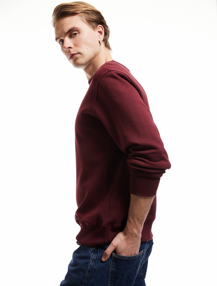  Bisiklet Yaka Dikiş Detaylı Şardonlu Pamuk Karışımlı Basic Sweatshirt