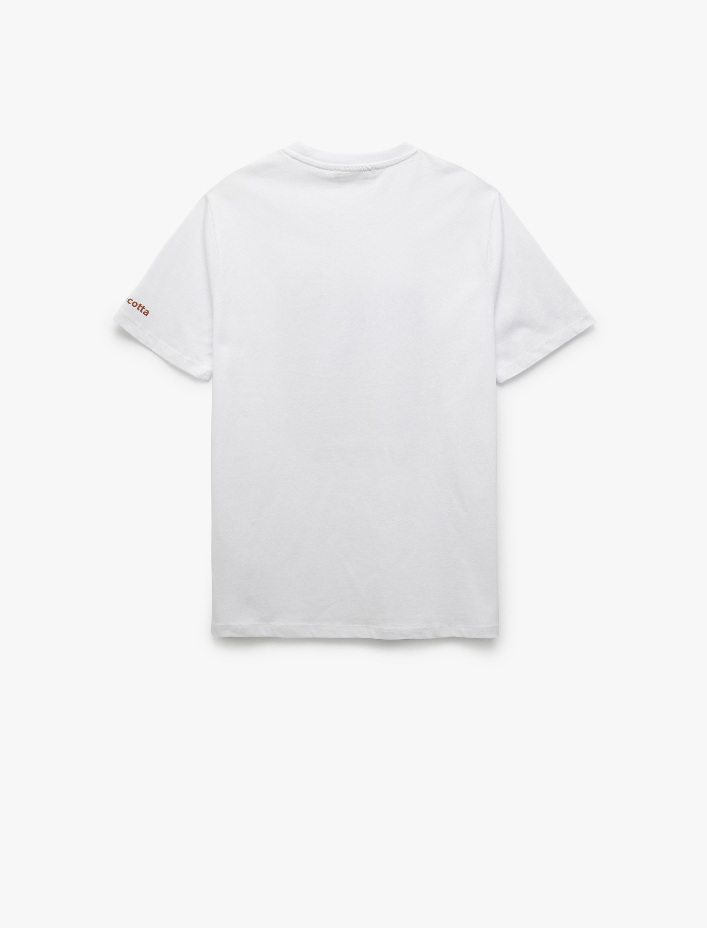   Bisiklet Yaka Kısa Kollu Regular Fit Pamuklu Baskılı Tişört