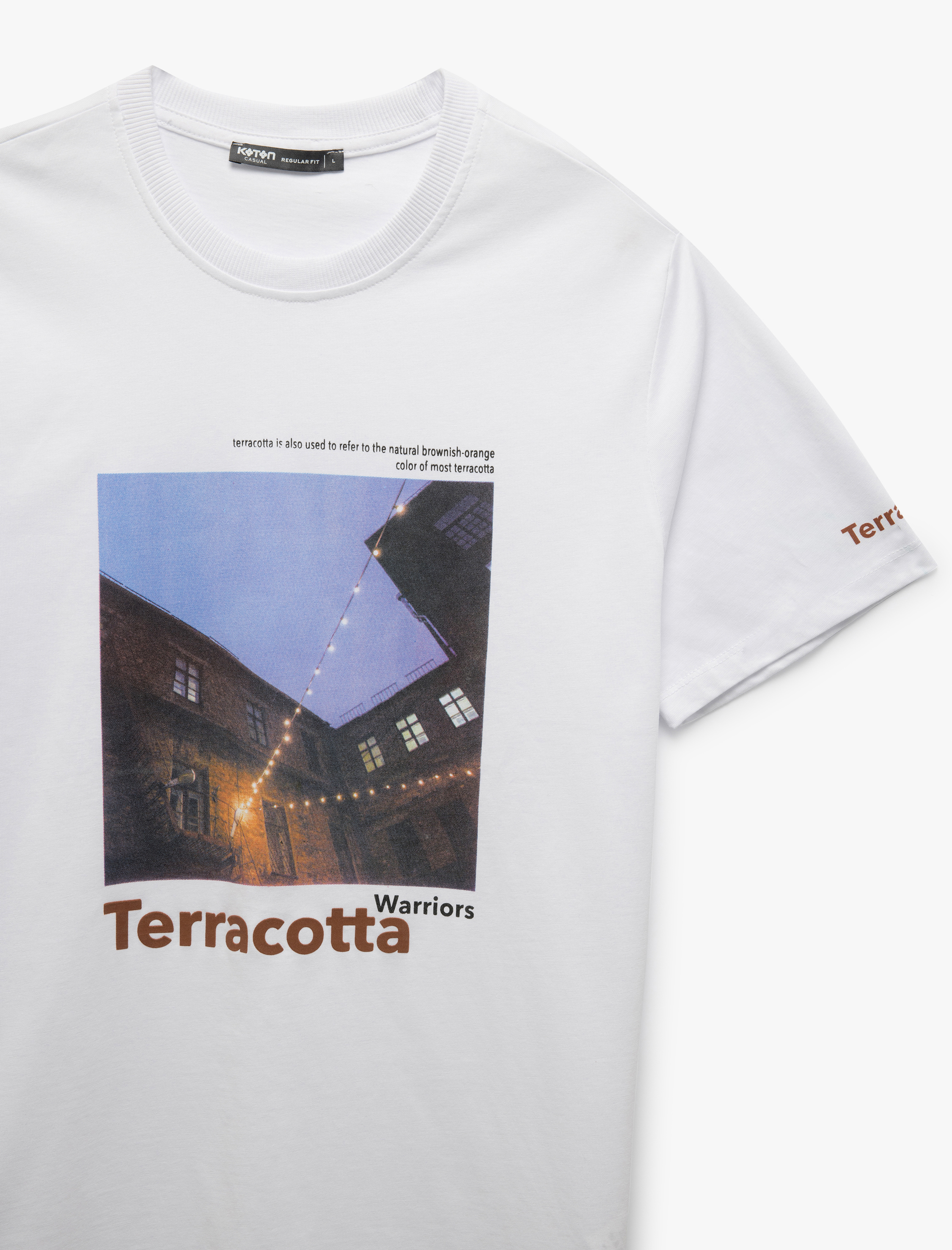   Bisiklet Yaka Kısa Kollu Regular Fit Pamuklu Baskılı Tişört