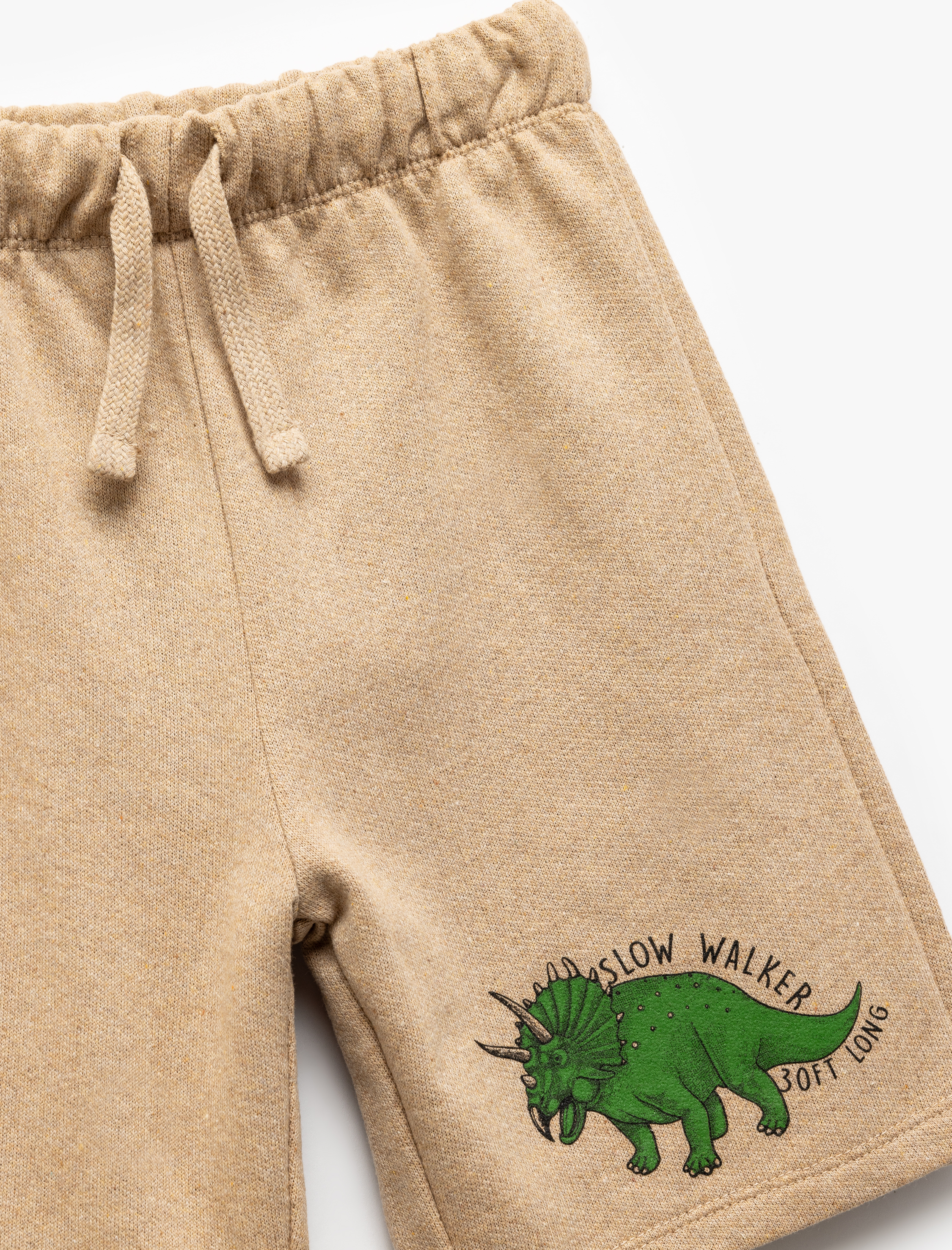  Erkek Çocuk Dinozor Baskılı Beli Lastikli Bermuda Şort