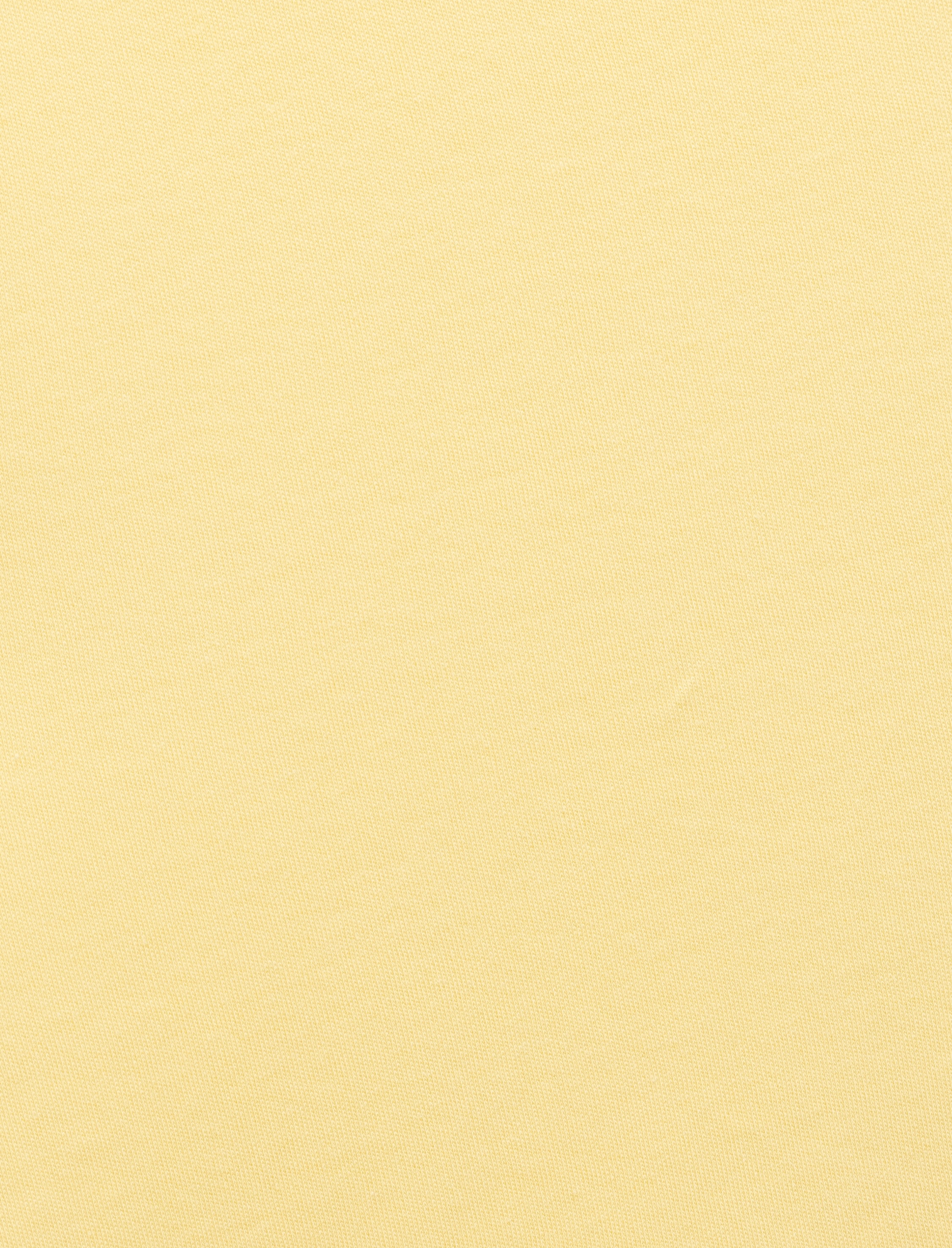   Pamuklu Slim Fit Kısa Kollu Bisiklet Yaka Basic Tişört