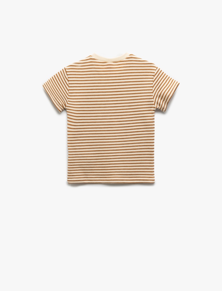Erkek Bebek Bisiklet Yaka Kısa Kollu Pamuklu Çizgili Tişört