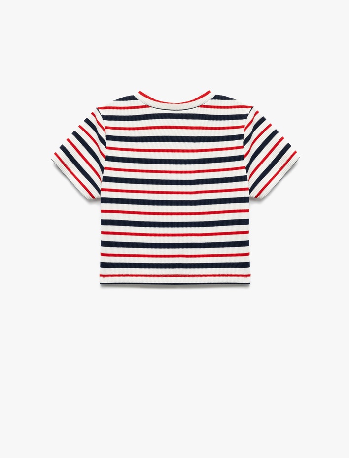 Kız Çocuk Bisiklet Yaka Kısa Kollu Kaşkorse Çizgili Tişört