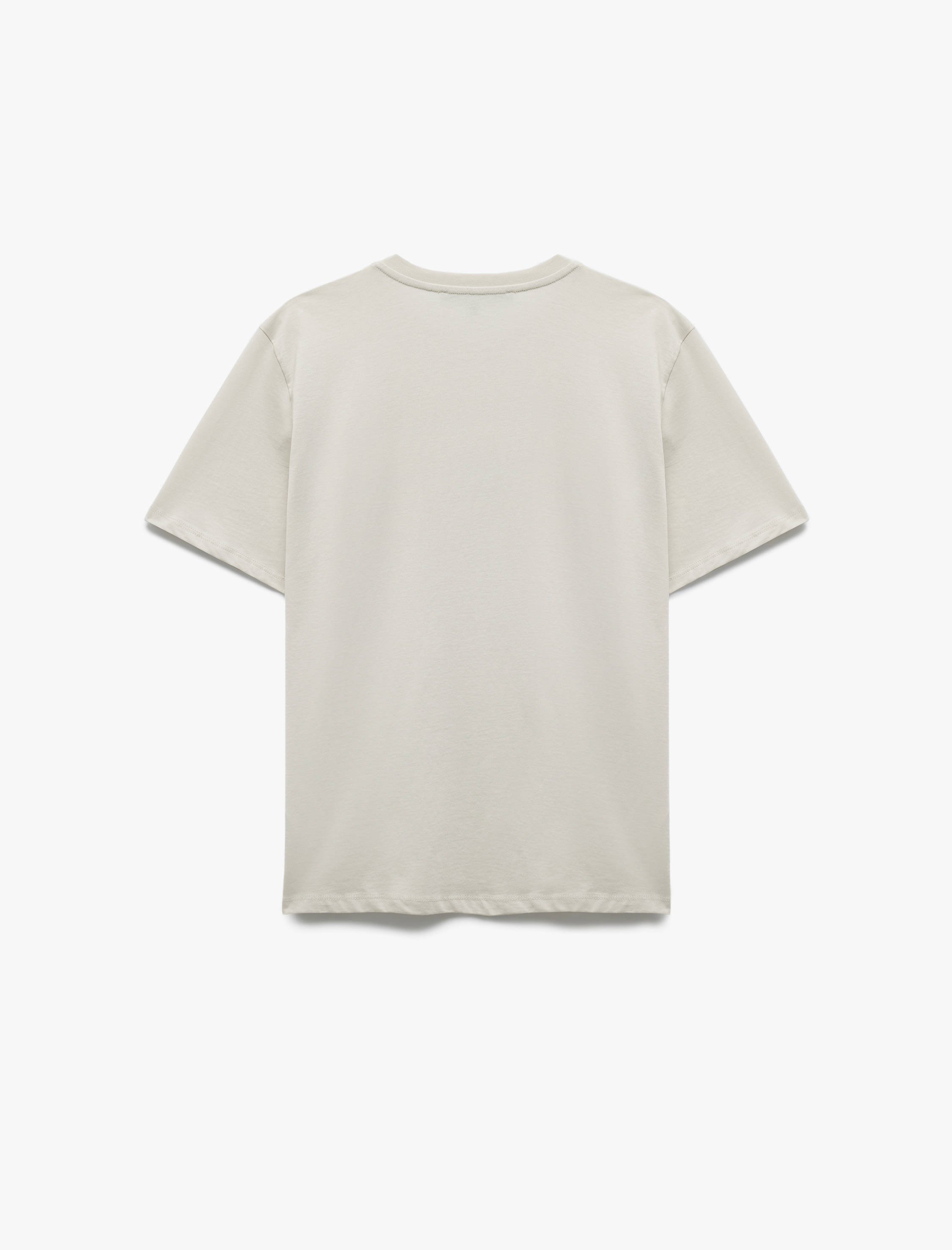   Bisiklet Yaka Regular Fit Kısa Kollu Pamuklu Baskılı Tişört