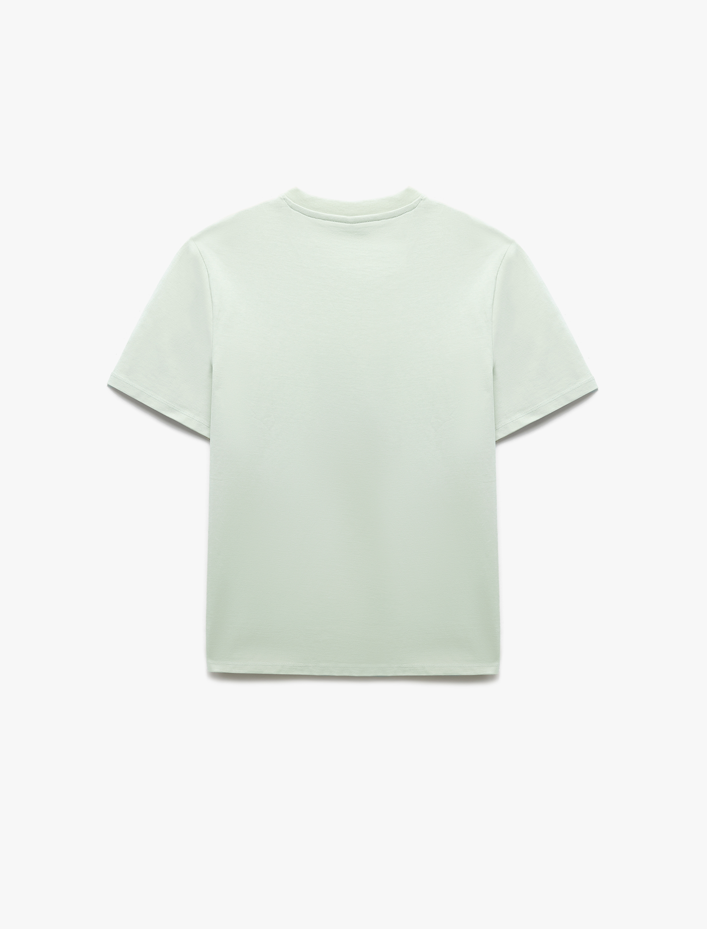   Bisiklet Yaka Kısa Kollu Regular Fit Pamuklu Baskılı Tişört