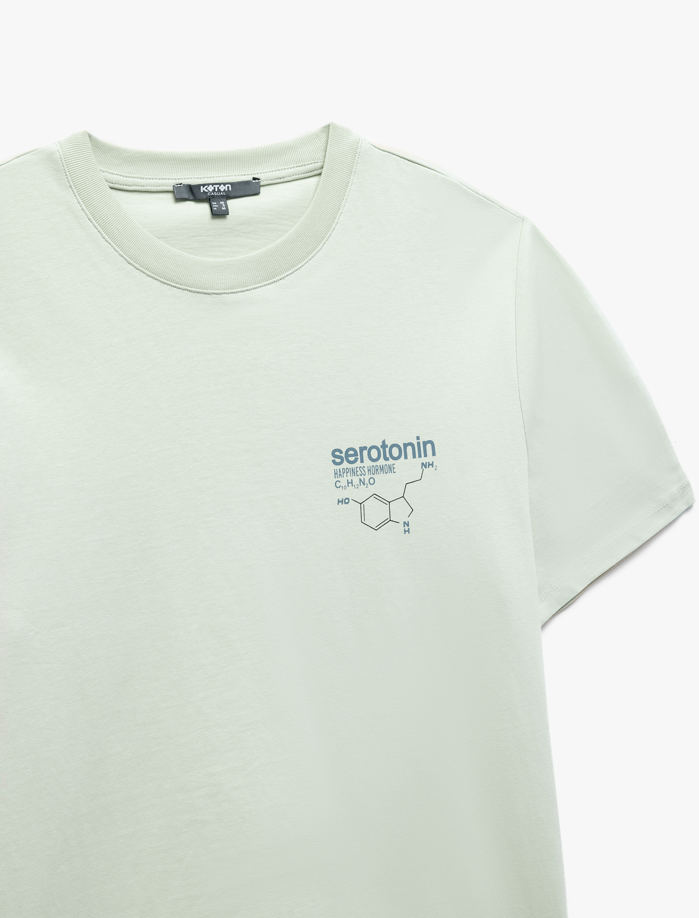   Bisiklet Yaka Kısa Kollu Regular Fit Pamuklu Baskılı Tişört