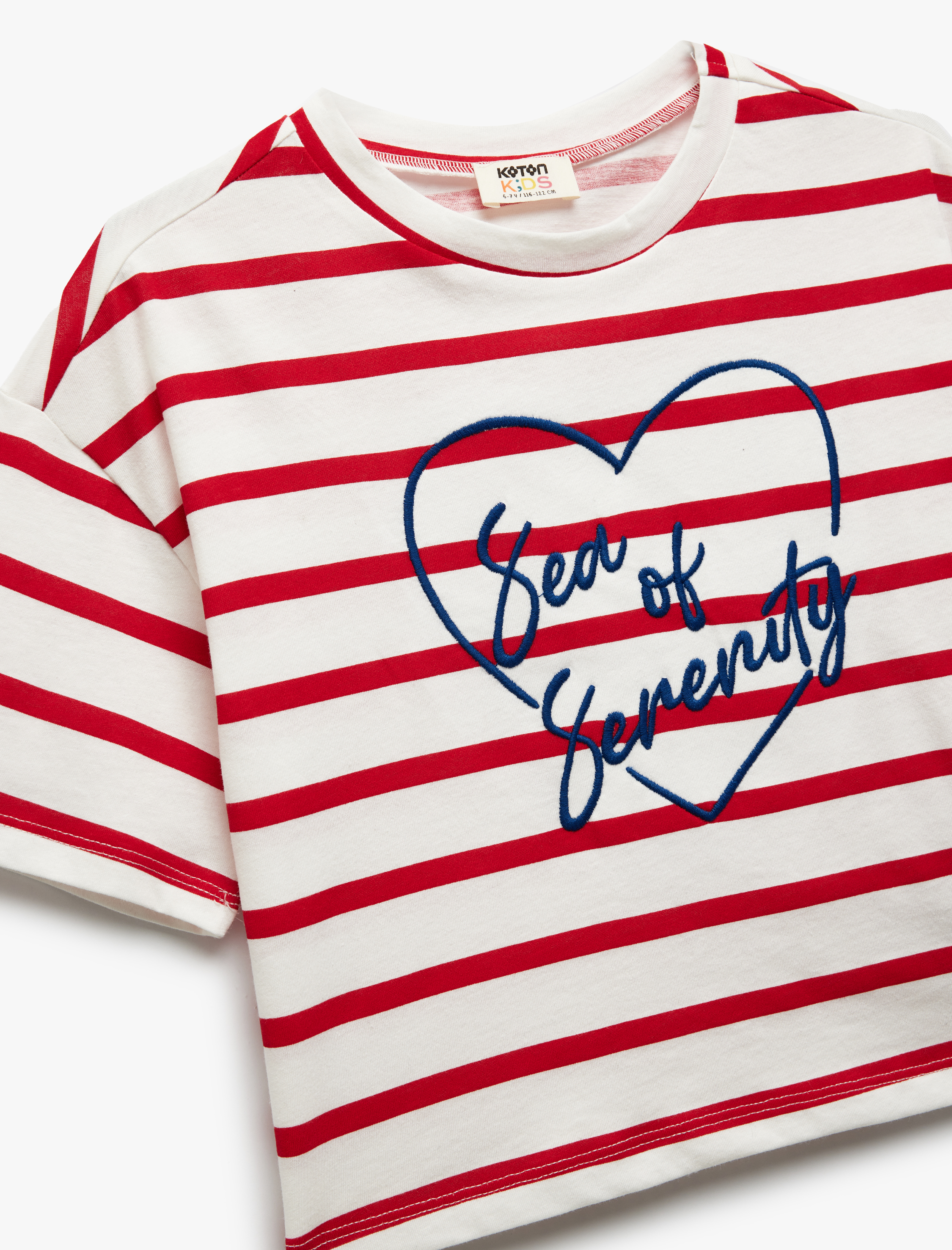  Kız Çocuk Pamuklu Nakış Detaylı Kısa Kollu Bisiklet Yaka Çizgili Tişört