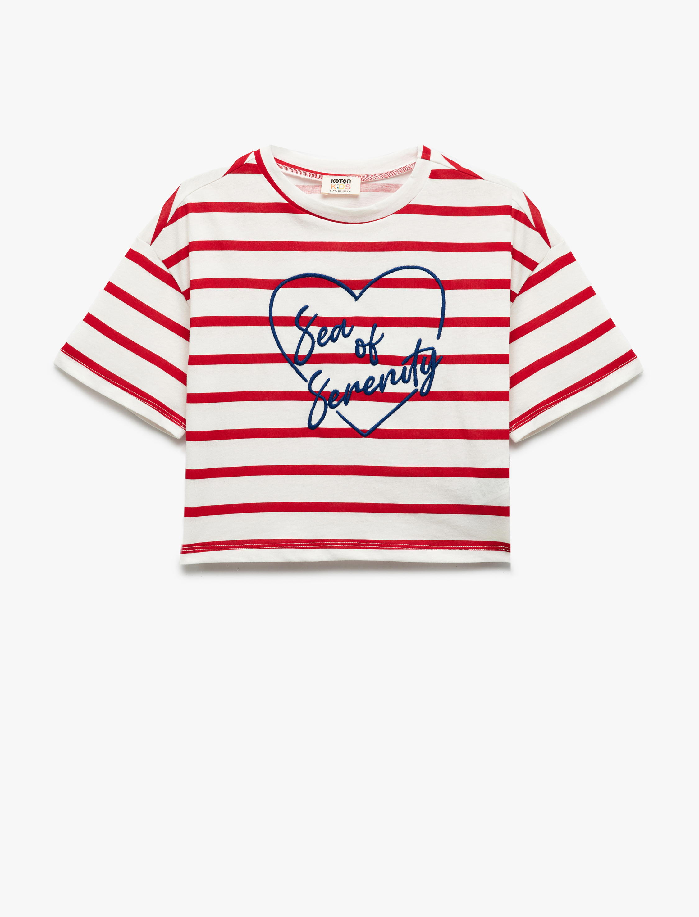  Kız Çocuk Pamuklu Nakış Detaylı Kısa Kollu Bisiklet Yaka Çizgili Tişört