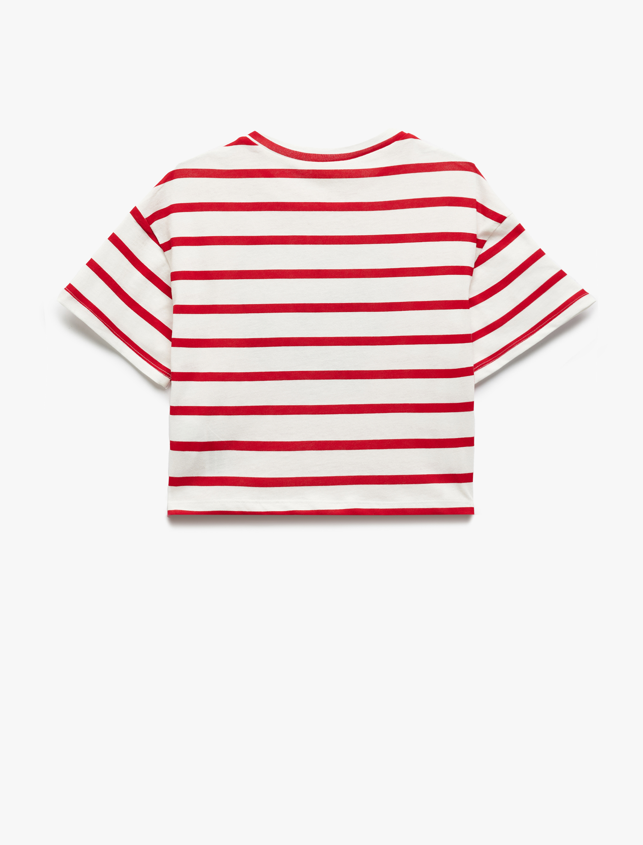  Kız Çocuk Pamuklu Nakış Detaylı Kısa Kollu Bisiklet Yaka Çizgili Tişört