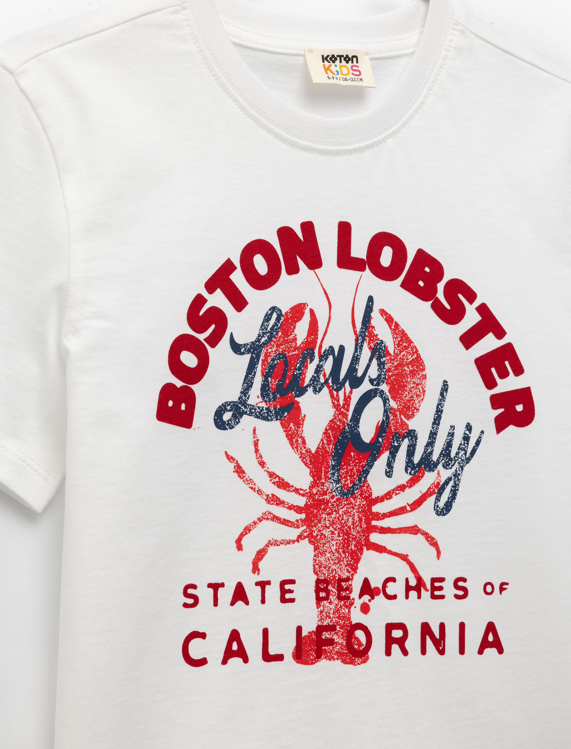  Erkek Çocuk Bisiklet Yaka Kısa Kollu Pamuklu Baskılı Tişört