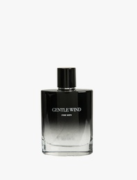Parfüm Gentle Wind 100 ML