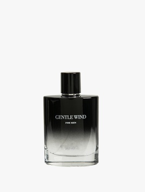 Parfüm Gentle Wind 100 ML