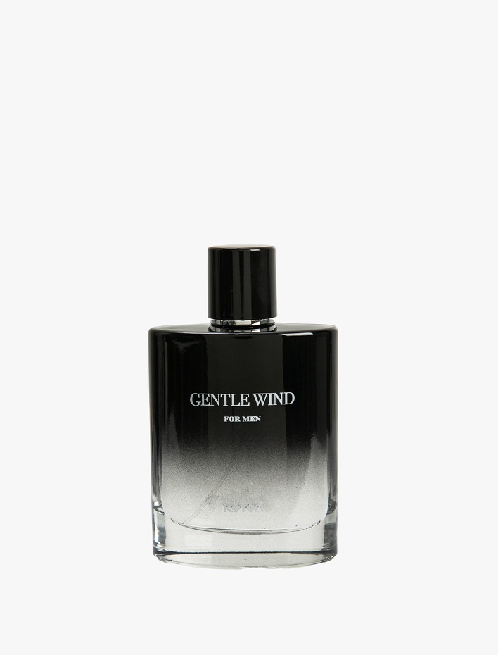 Erkek Parfüm Gentle Wind 100 ML