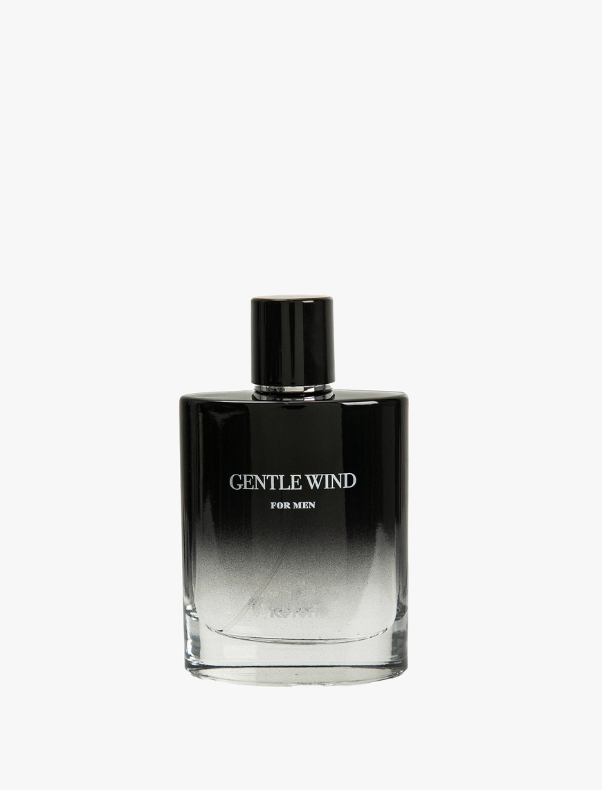  Erkek Parfüm Gentle Wind 100 ML