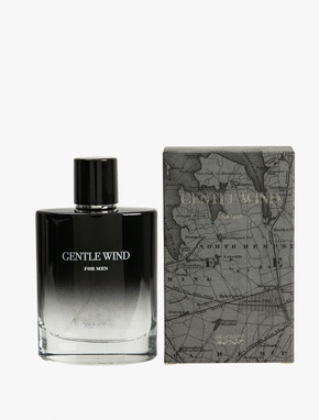 Parfüm Gentle Wind 100 ML_2