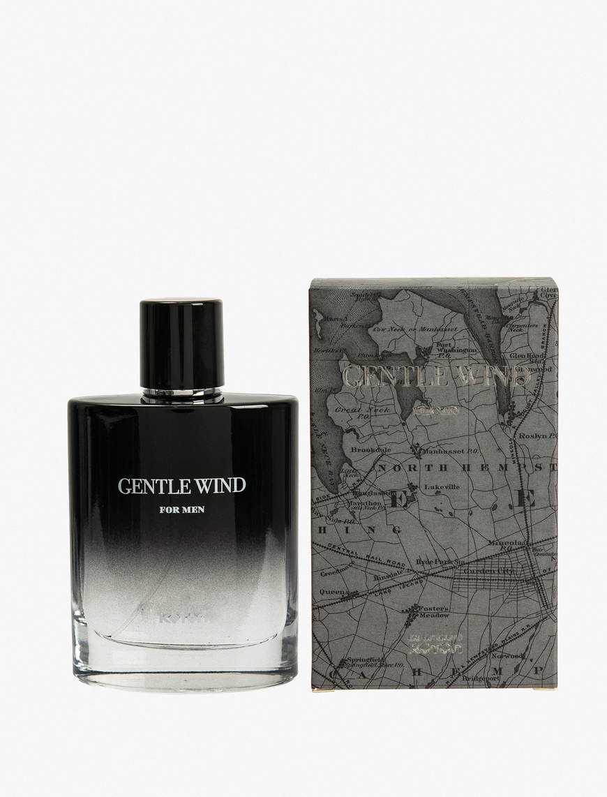  Erkek Parfüm Gentle Wind 100 ML