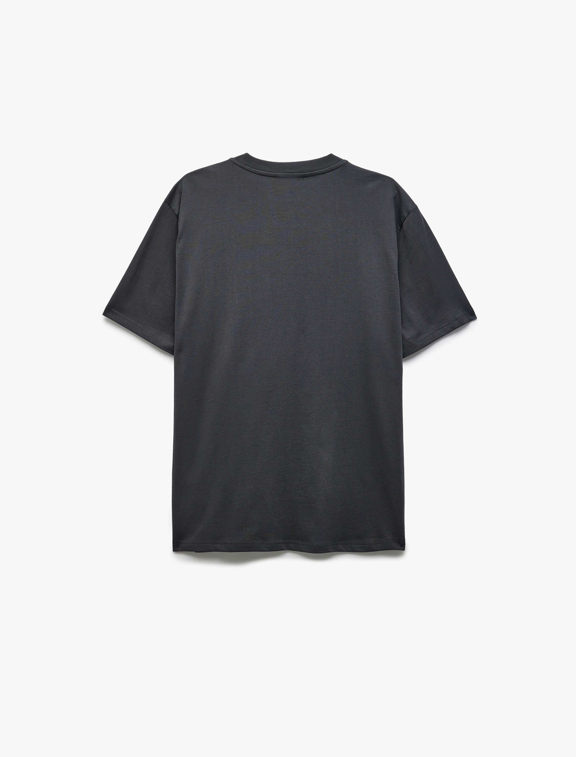   Regular Fit Pamuklu Bisiklet Yaka Kısa Kollu Baskılı Tişört