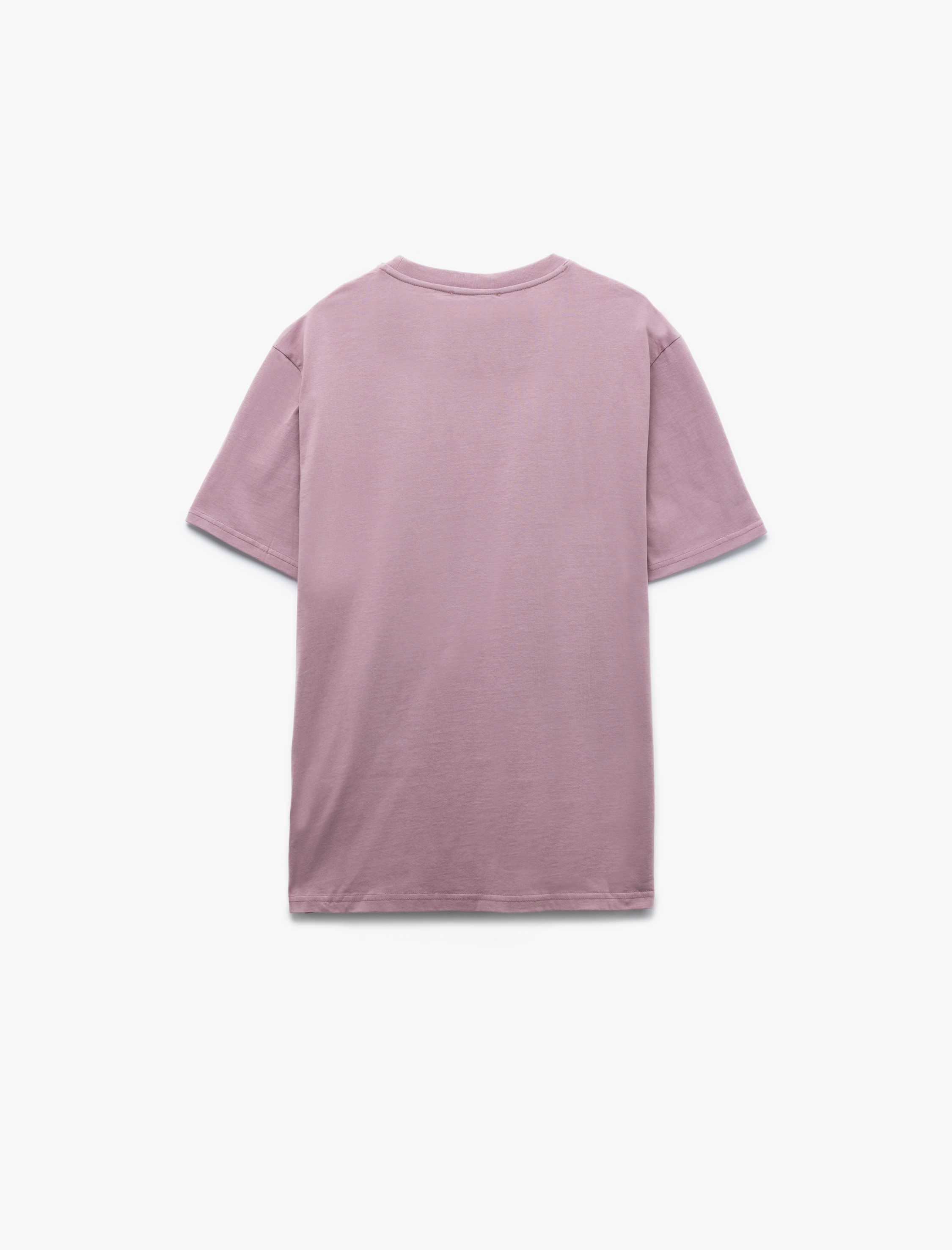   Pamuklu Regular Fit Bisiklet Yaka Kısa Kollu Baskılı Tişört