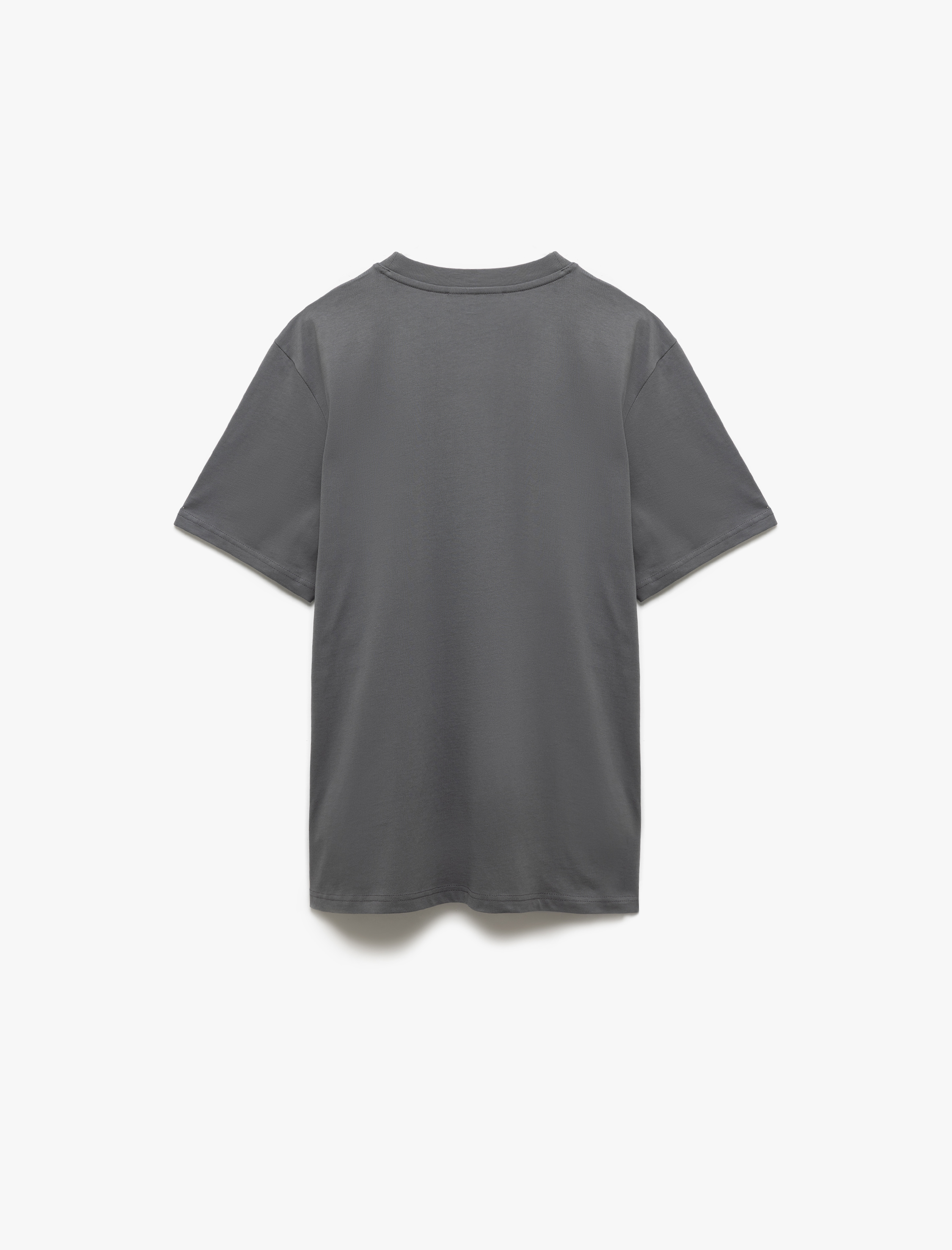   Bisiklet Yaka Pamuklu Regular Fit Kısa Kollu Baskılı Tişört