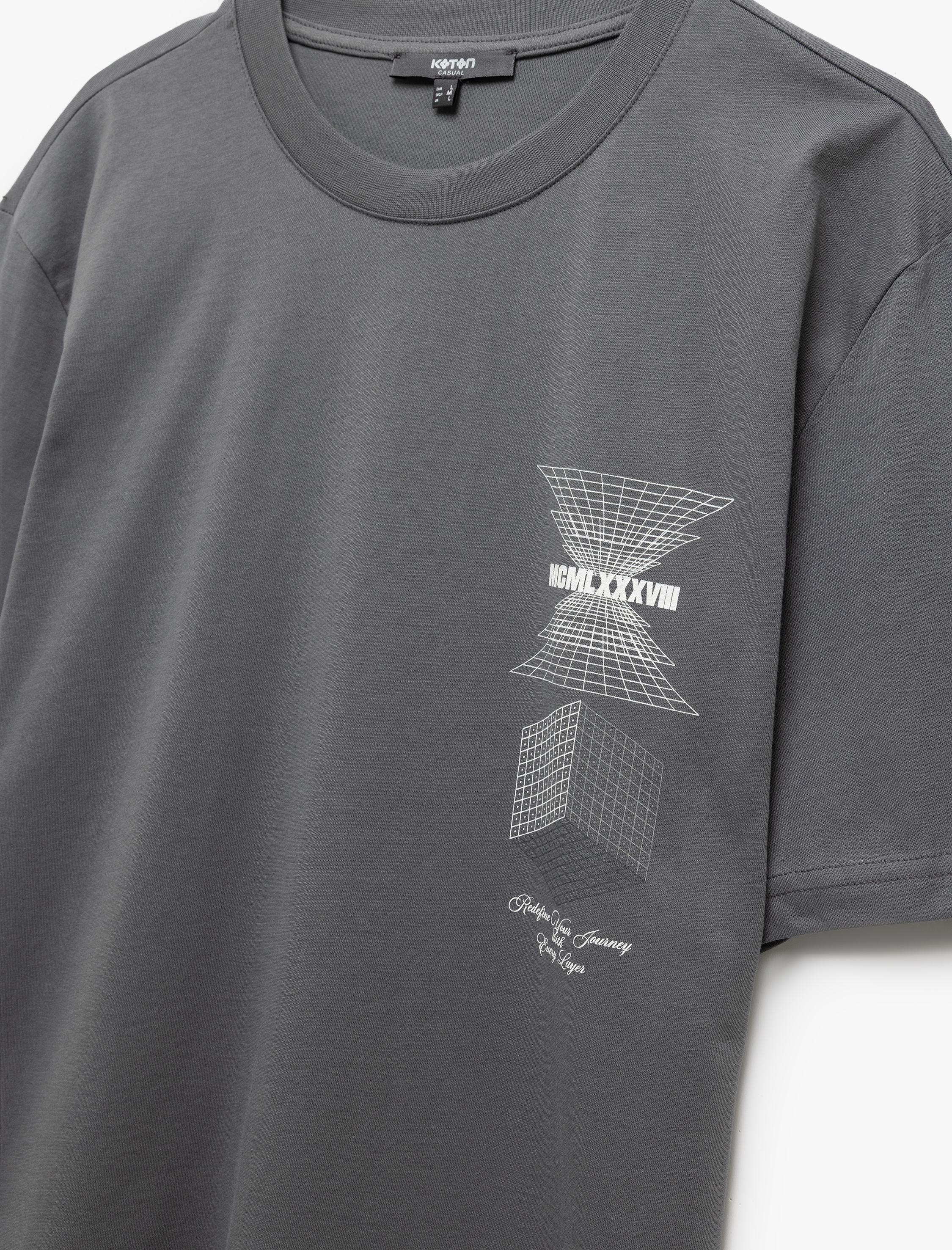   Bisiklet Yaka Pamuklu Regular Fit Kısa Kollu Baskılı Tişört