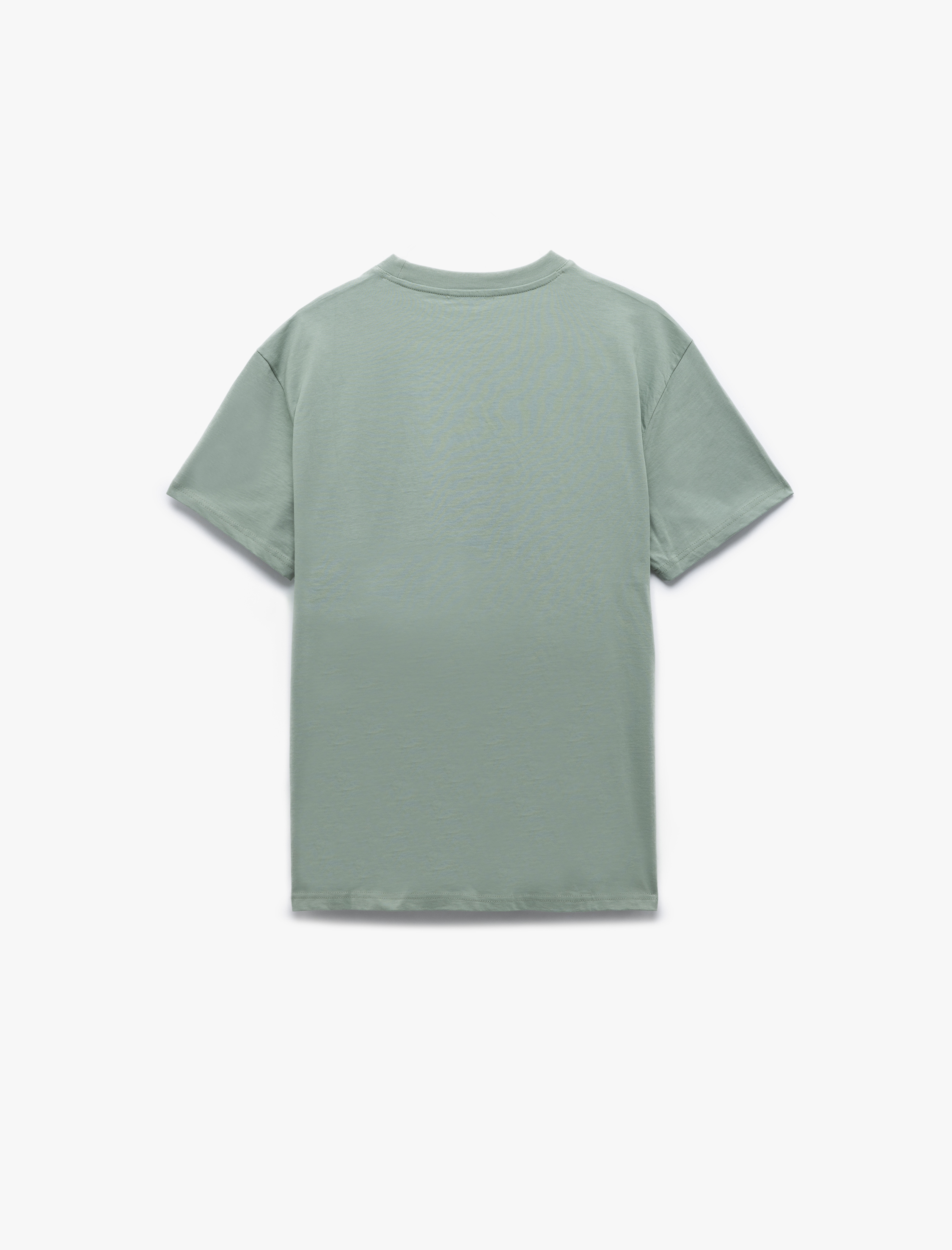   Kısa Kollu Regular Fit Bisiklet Yaka Pamuklu Baskılı Tişört