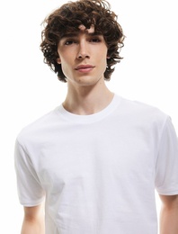 Kısa Kollu Bisiklet Yaka Pamuklu Slim Fit Erkek Basic Tişört