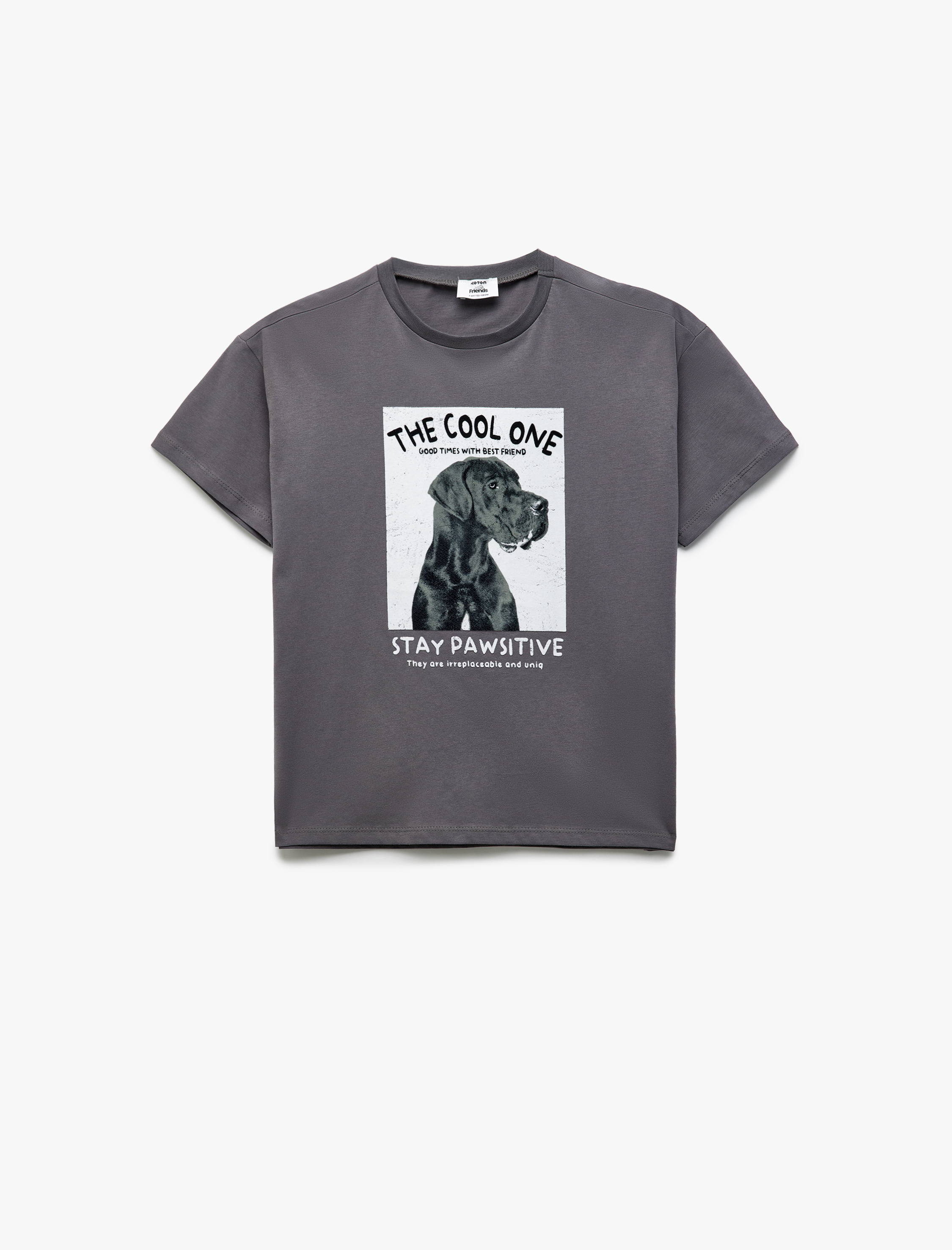  Erkek Çocuk Köpek Baskılı Kısa Kollu Bisiklet Yaka Pamuklu Tişört