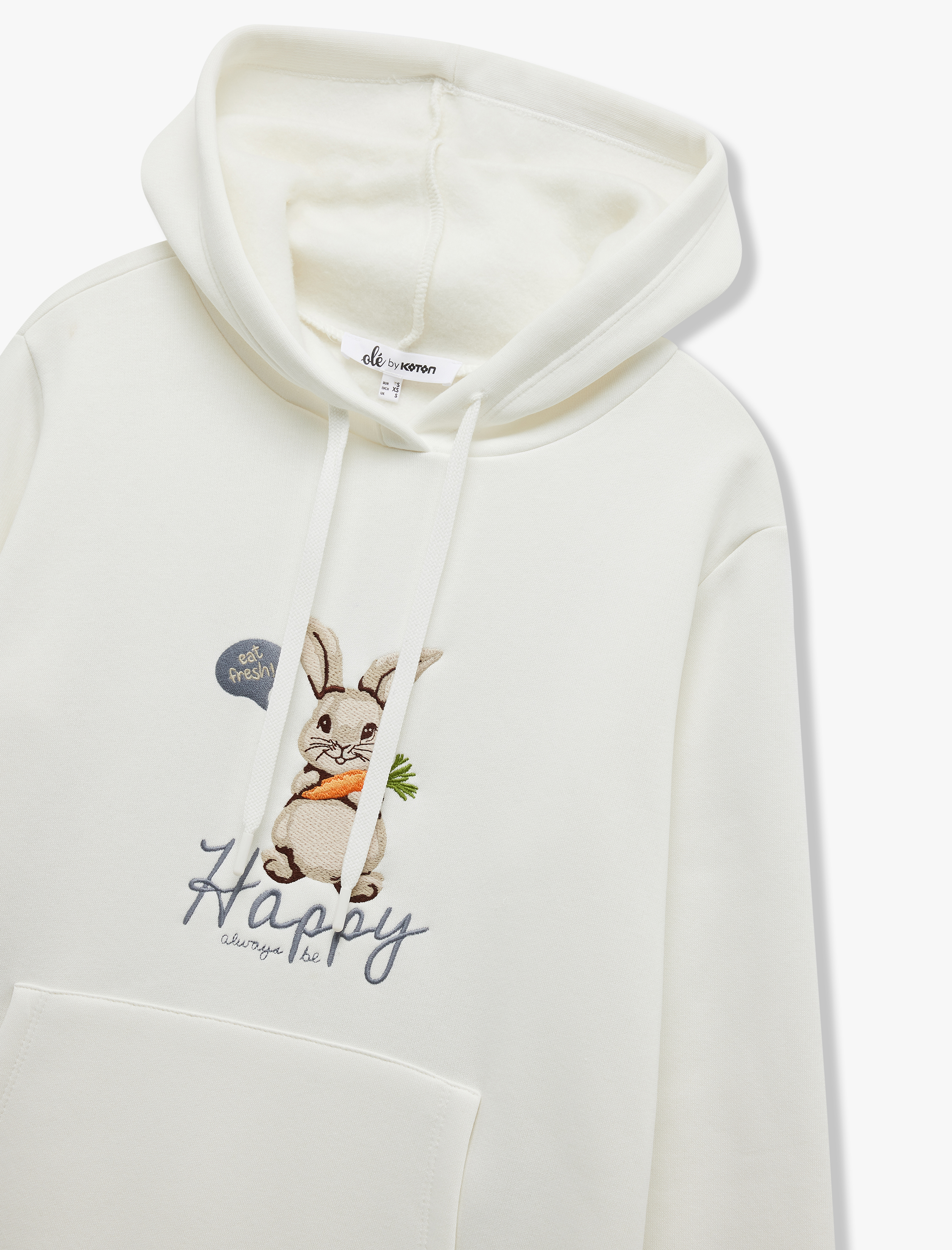   Üç İplik Şardonlu Nakış Detaylı Kanguru Cepli Kapüşonlu Sweatshirt